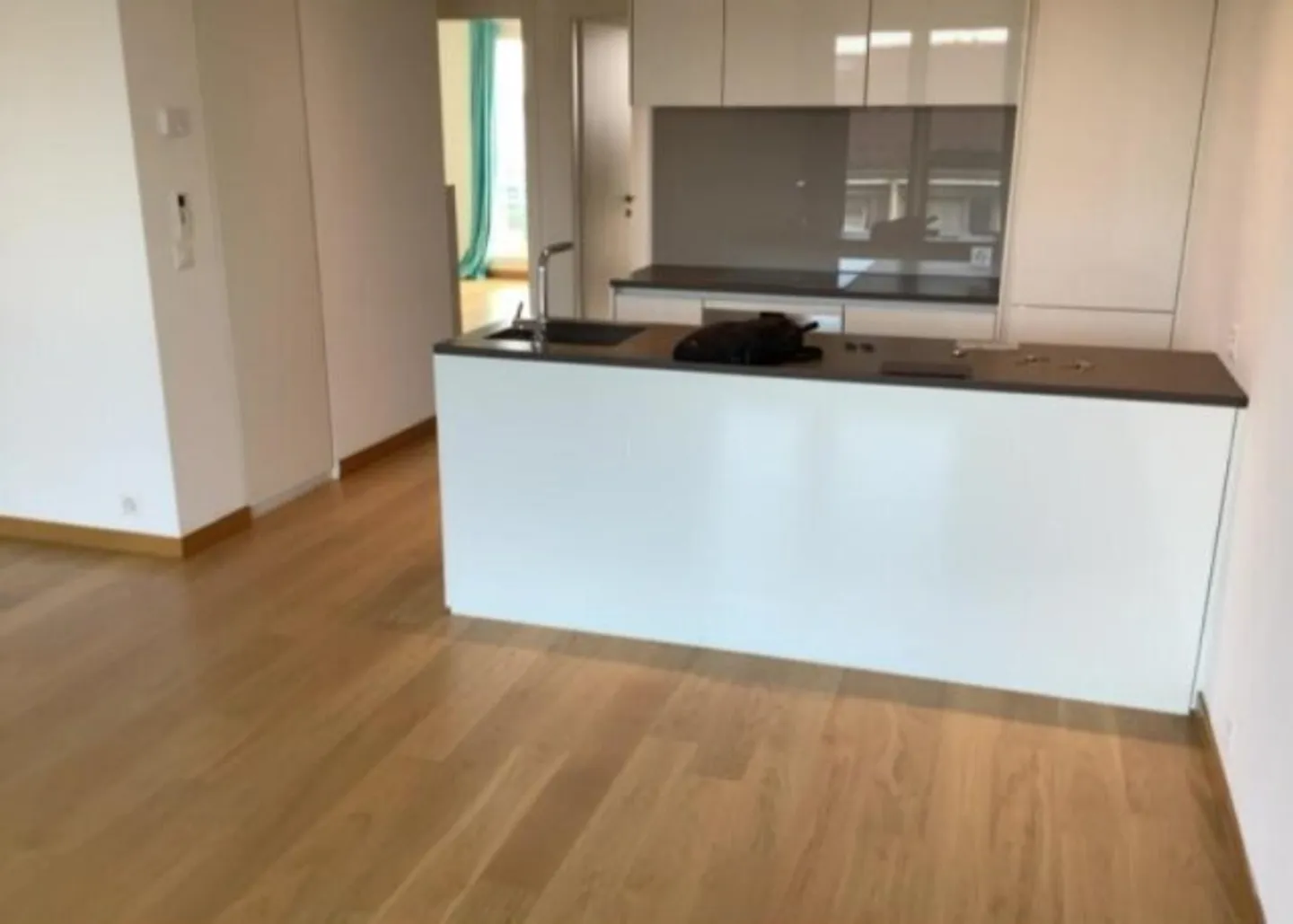 Living in a Maisonette Apartment in the Heart of Servette! - Photo 2 of 8