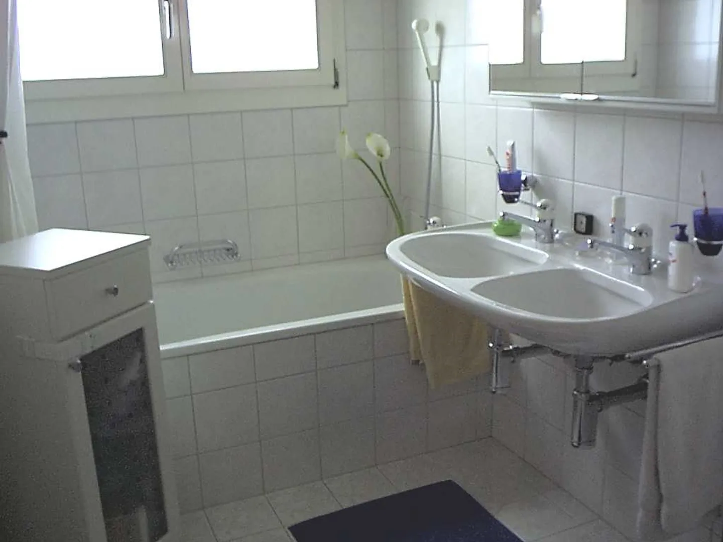 Helle moderne 4.5 Zimmer-Wohnung im Grünen - nahe Wittenbach - Foto 6 von 13