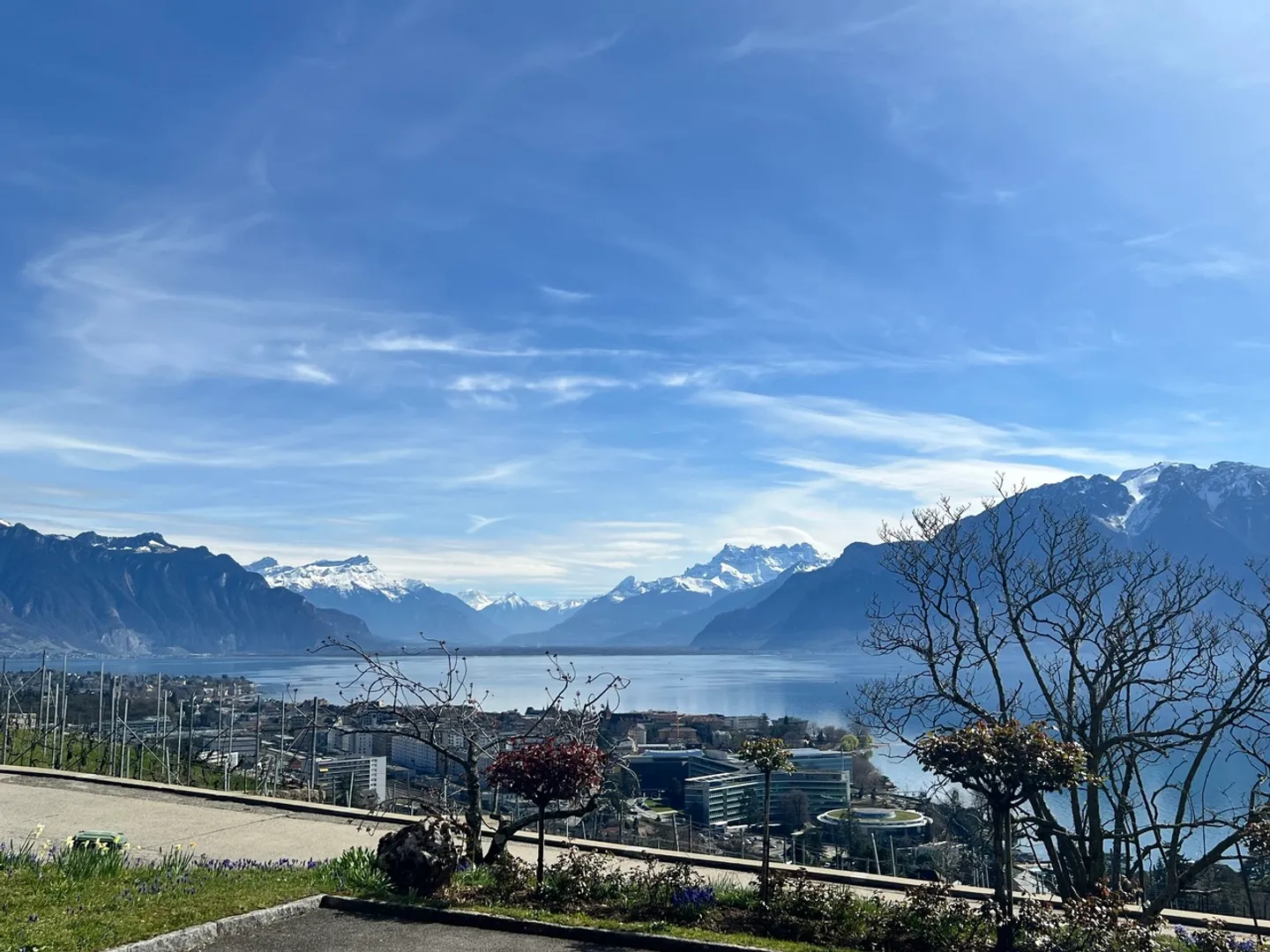 Rare villa d'architecte, vue spectaculaire, vignes à Corseaux - Photo 5 sur 15