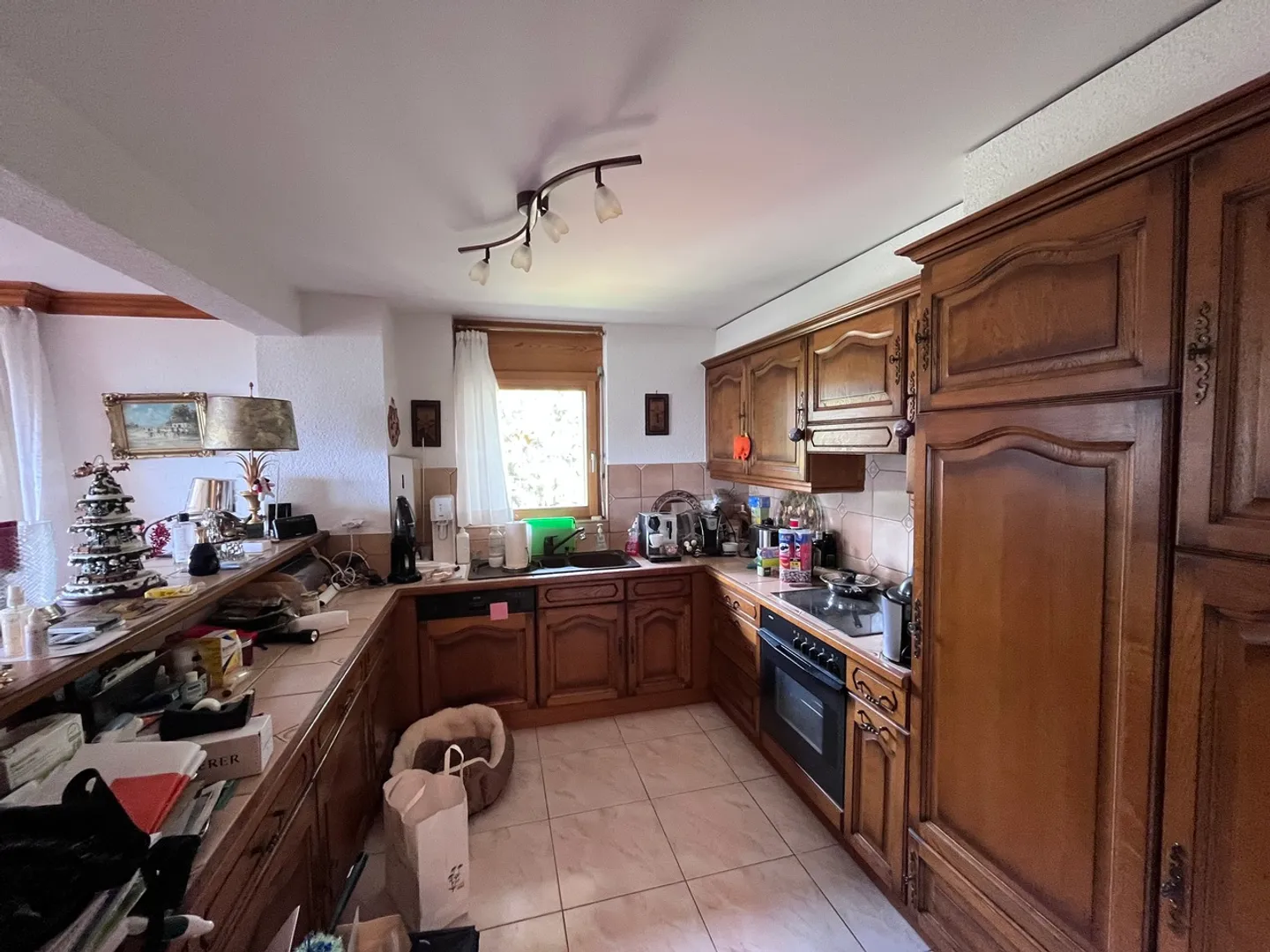The Paradise, 3.5 Rooms, 1st Floor - Photo 4 of 13