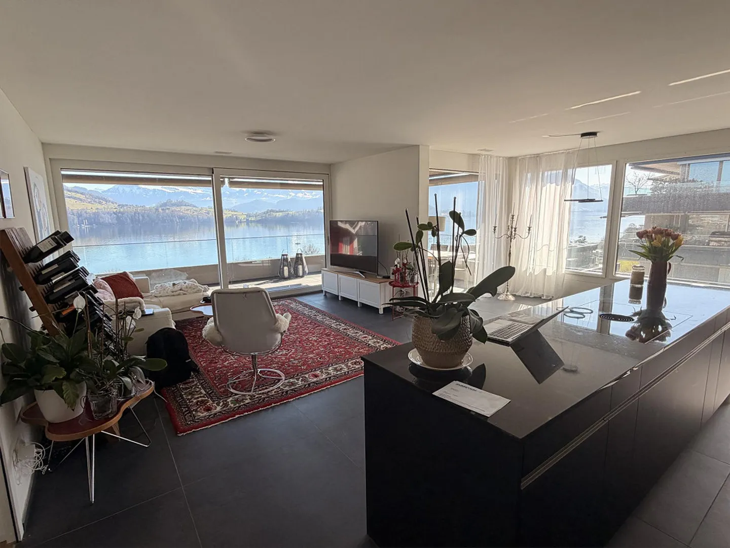 4.5 Room Apartment with Lake and Mountain View - Photo 3 of 18