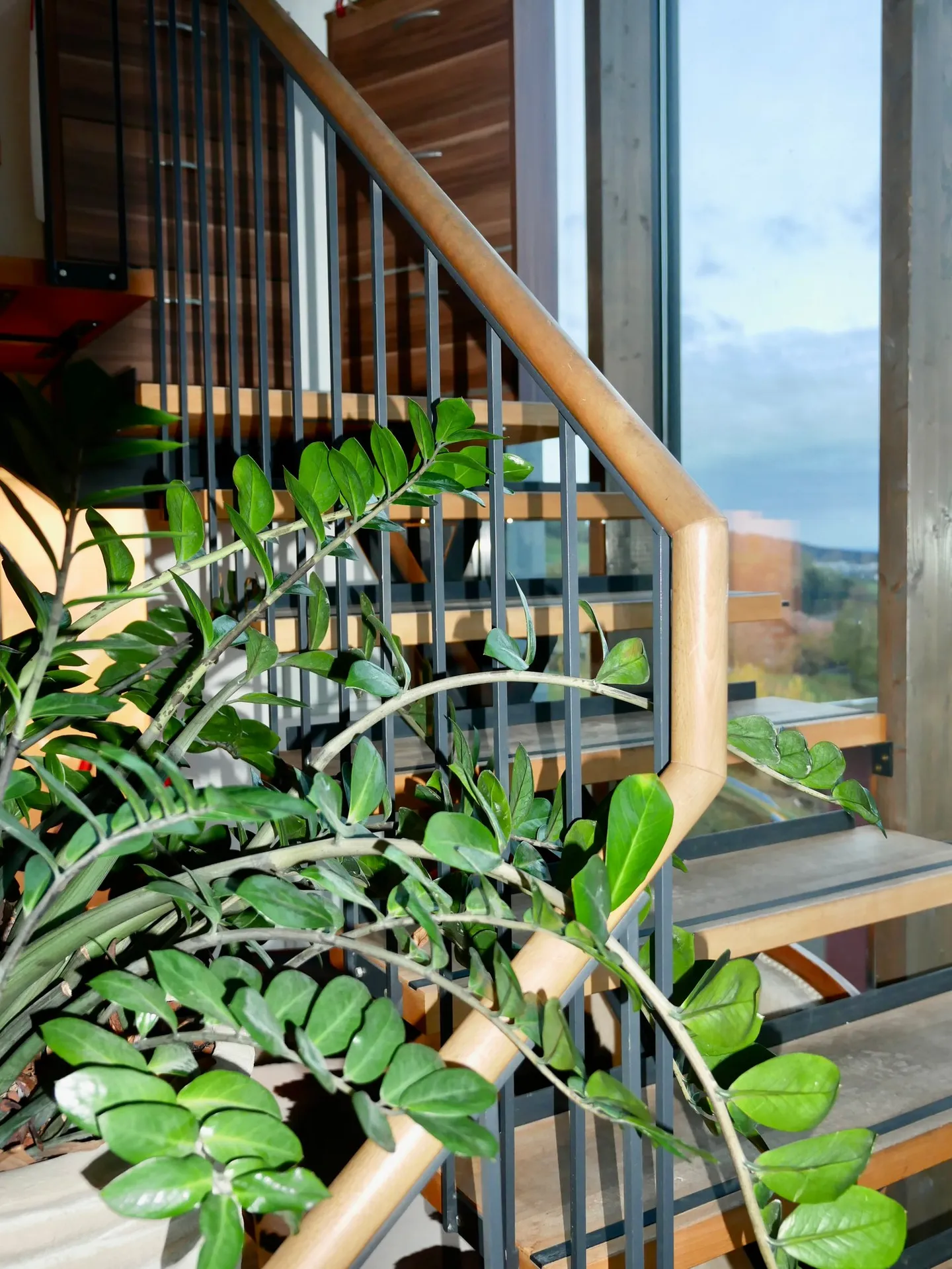 Multi-family house or generational house with a separate apartment - Photo 7 of 24