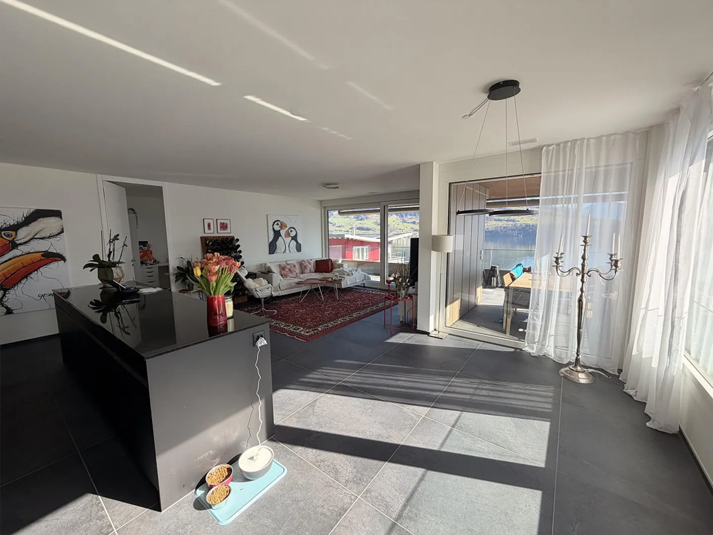 4.5 Room Apartment with Lake and Mountain View - Photo 5 of 18