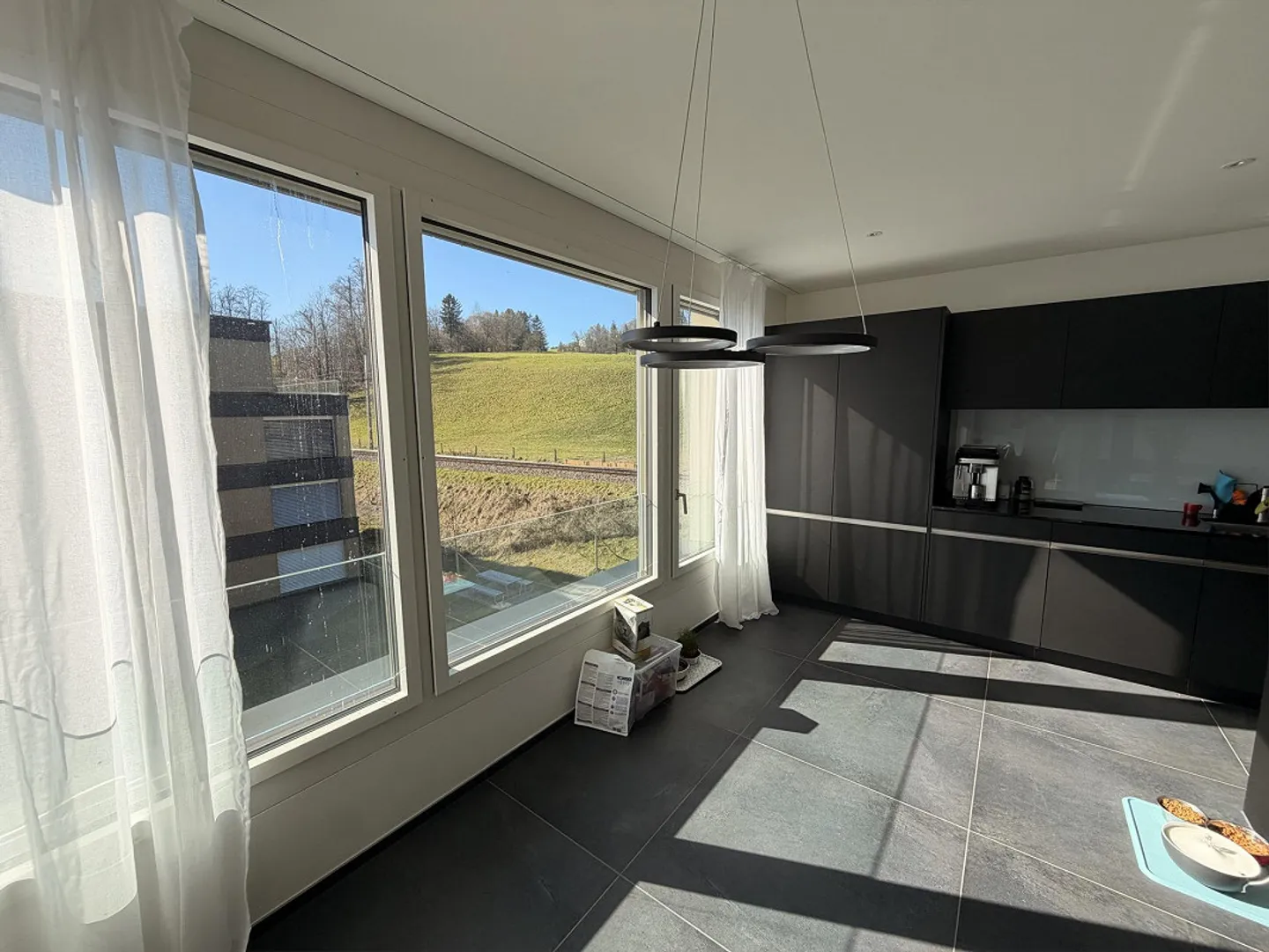 4.5 Room Apartment with Lake and Mountain View - Photo 7 of 18