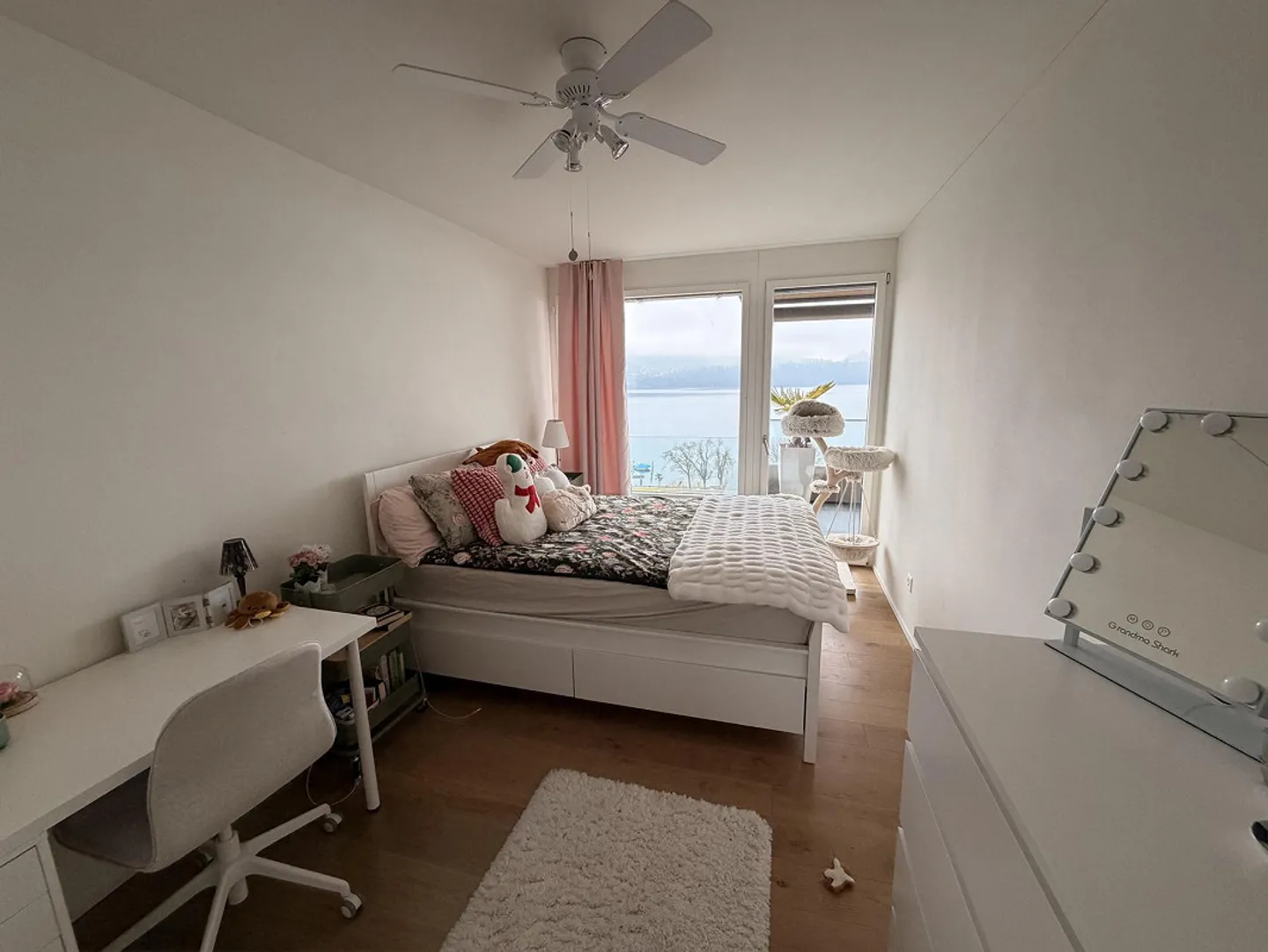 4.5 Room Apartment with Lake and Mountain View - Photo 13 of 18