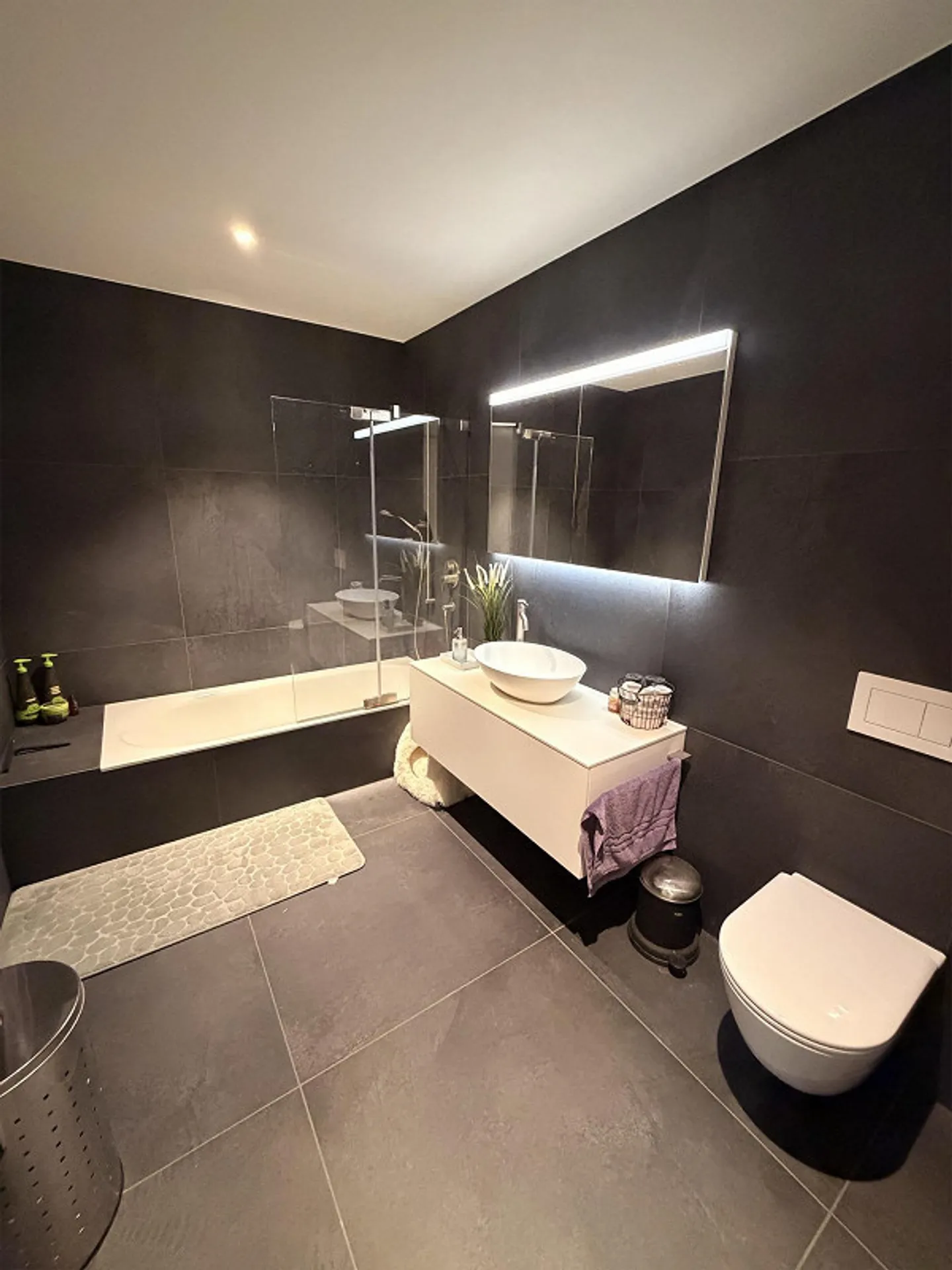 4.5 Room Apartment with Lake and Mountain View - Photo 15 of 18