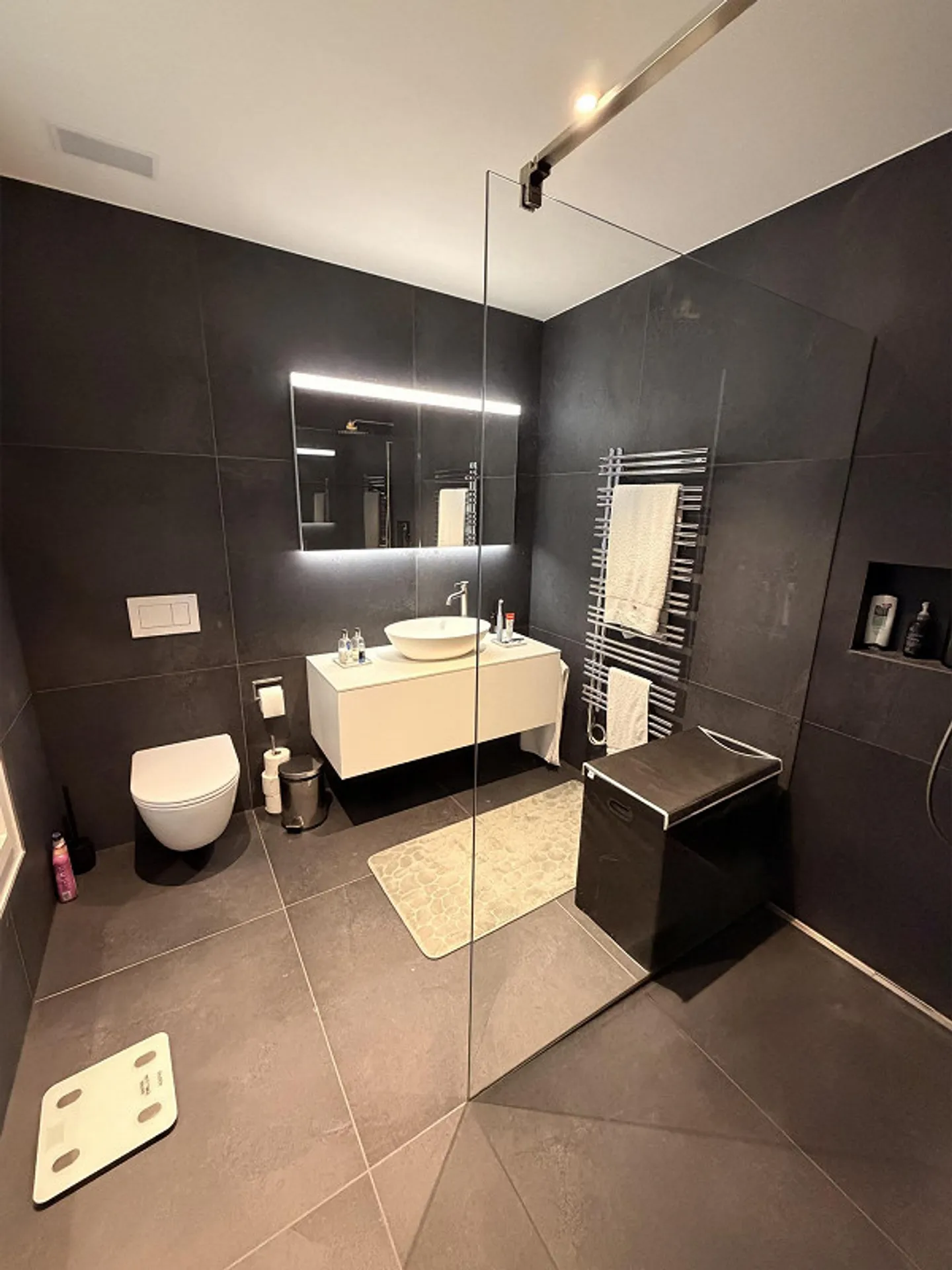 4.5 Room Apartment with Lake and Mountain View - Photo 16 of 18