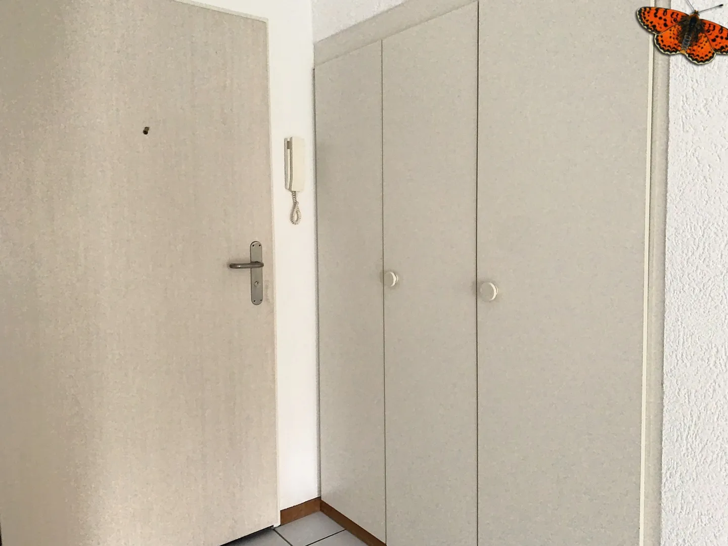 Charming Ground-Floor Apartment - Photo 7 of 8