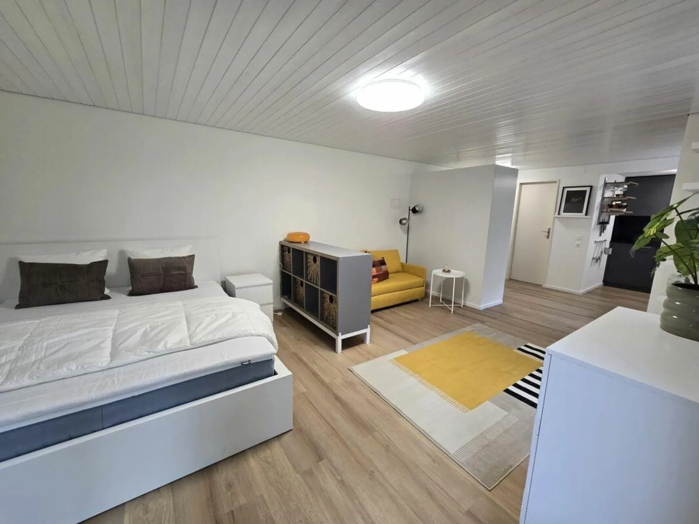 Prima occupazione dopo ristrutturazione: Moderno appartamento cittadino 1.5 stanze arredato - Foto 2 di 7