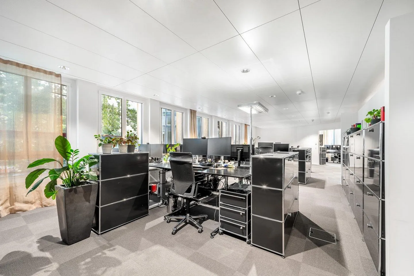 Plasma il tuo futuro nel cuore di Zurigo - Foto 6 di 11