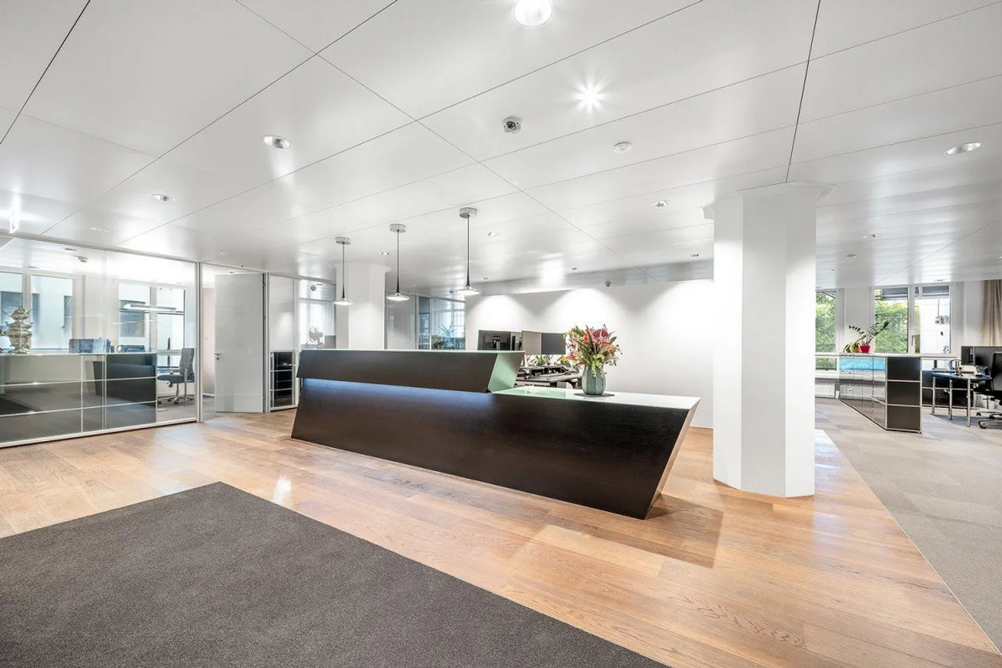 Plasma il tuo futuro nel cuore di Zurigo - Foto 8 di 11