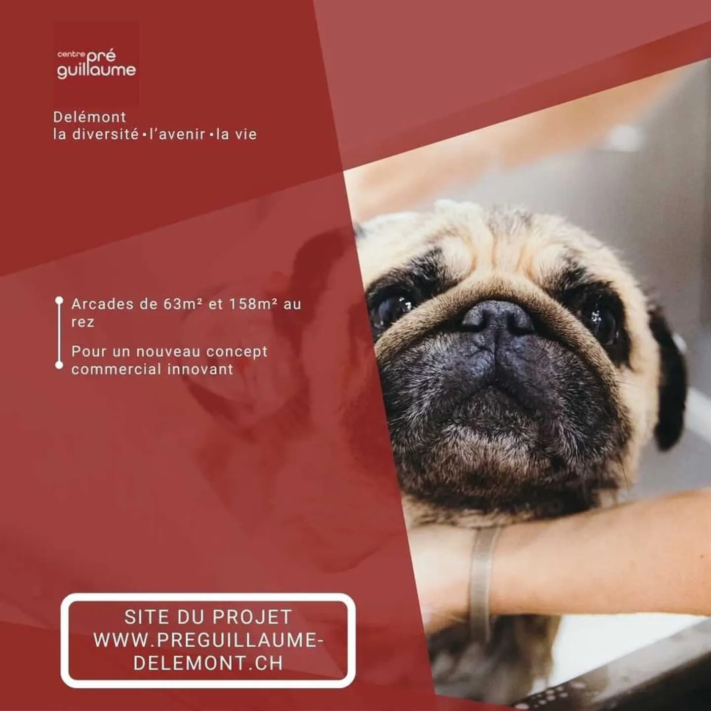 Espace commercial moderne au cour de Delémont - Photo 3 sur 9