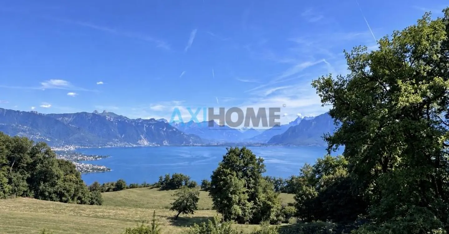 A rare living environment facing Lake Geneva - Photo 2 of 2