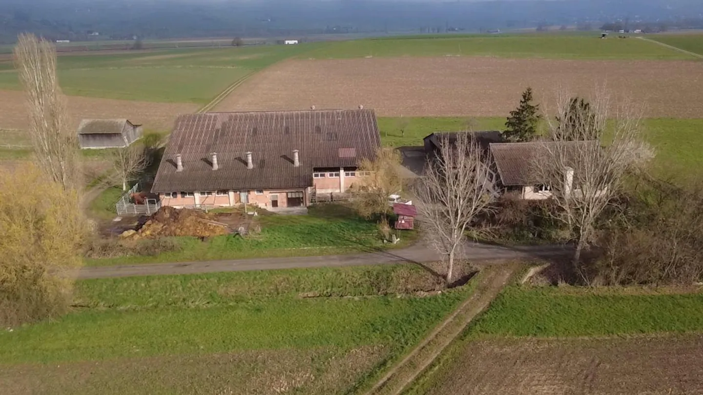 Incantevole casa unifamiliare con stalla e terreno pascolivo - Foto 1 di 7