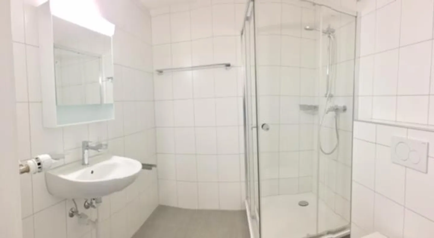 1.5 Room Apartment - Photo 5 of 5