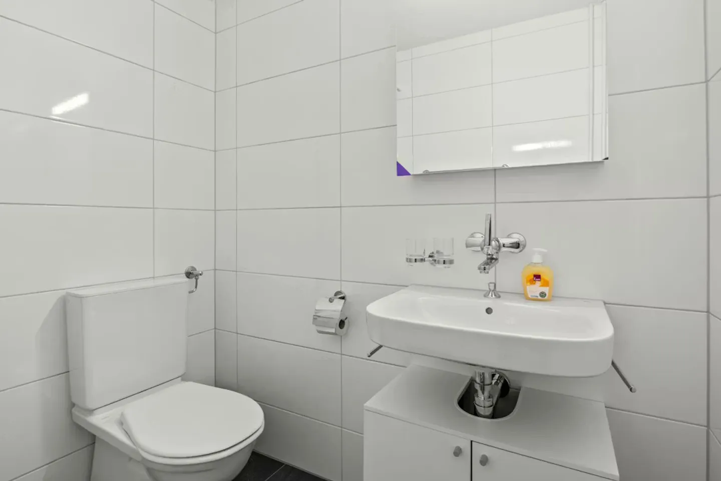 Appartamento Incantevole a Winterthur - Foto 8 di 8