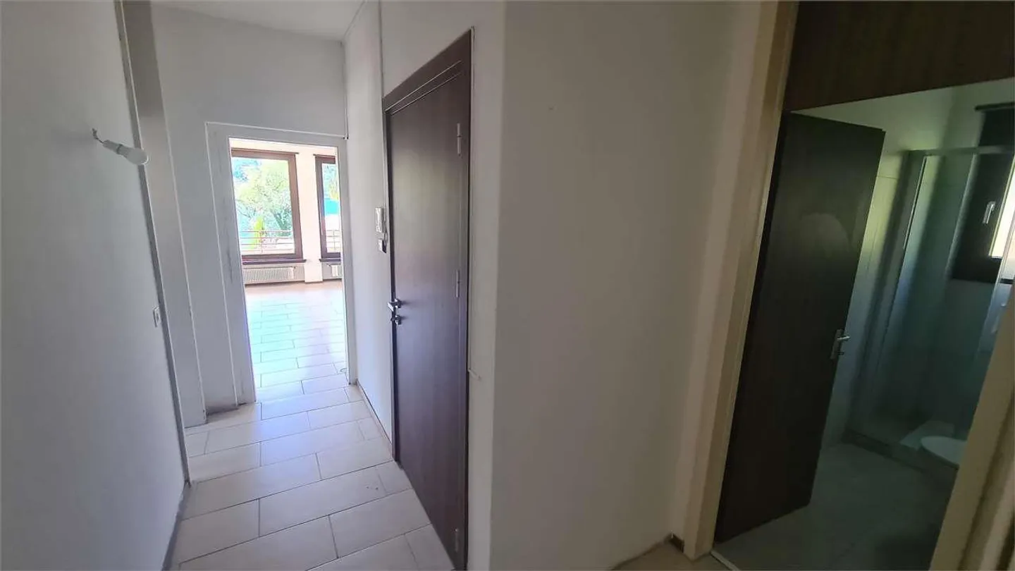BISSONE: 4.5 LOC. LAKE VIEW RENOVATED - Photo 6 of 8