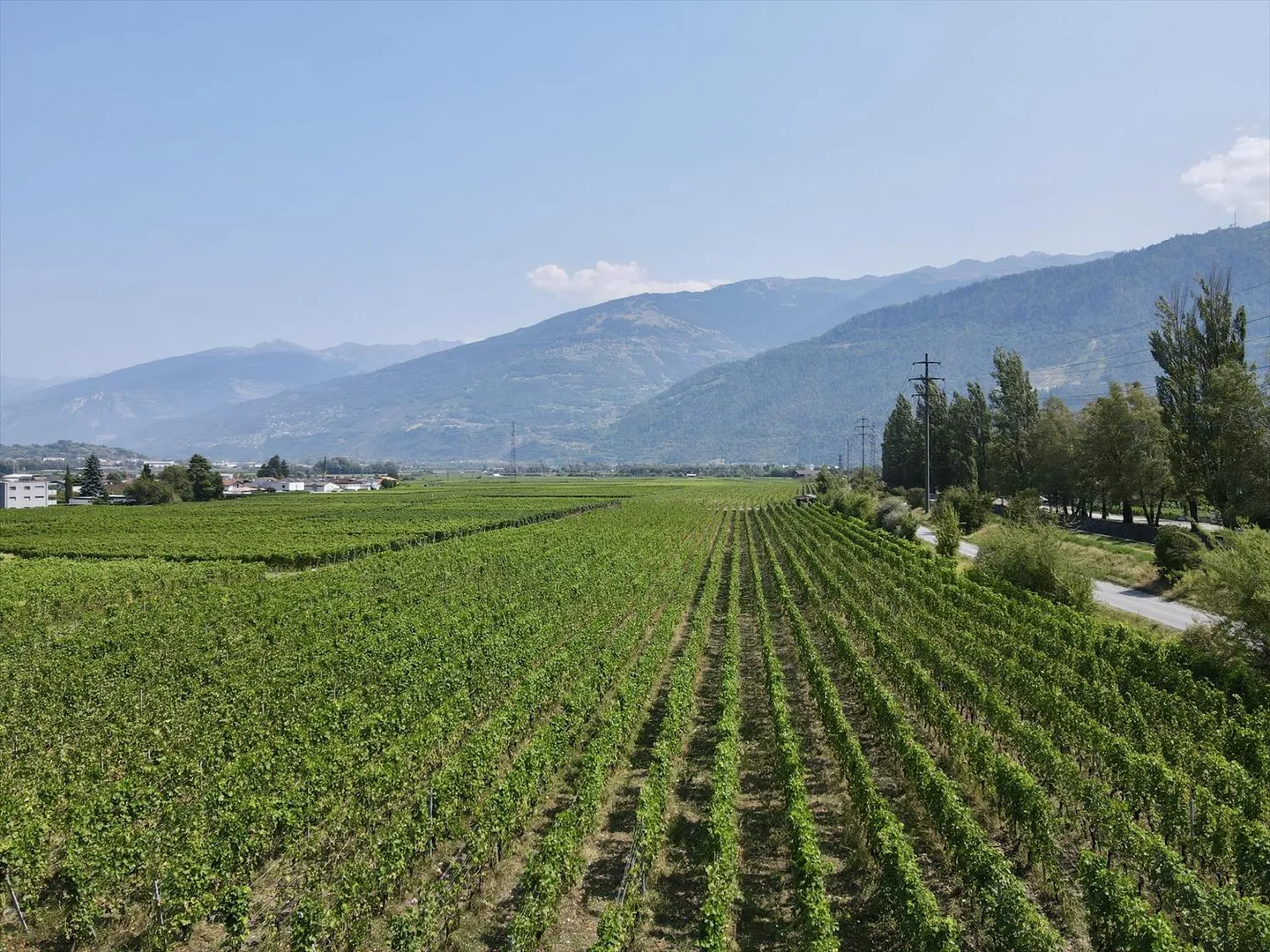 Le Amignes - Attico di 3,5 stanze, vista straordinaria - Foto 3 di 5