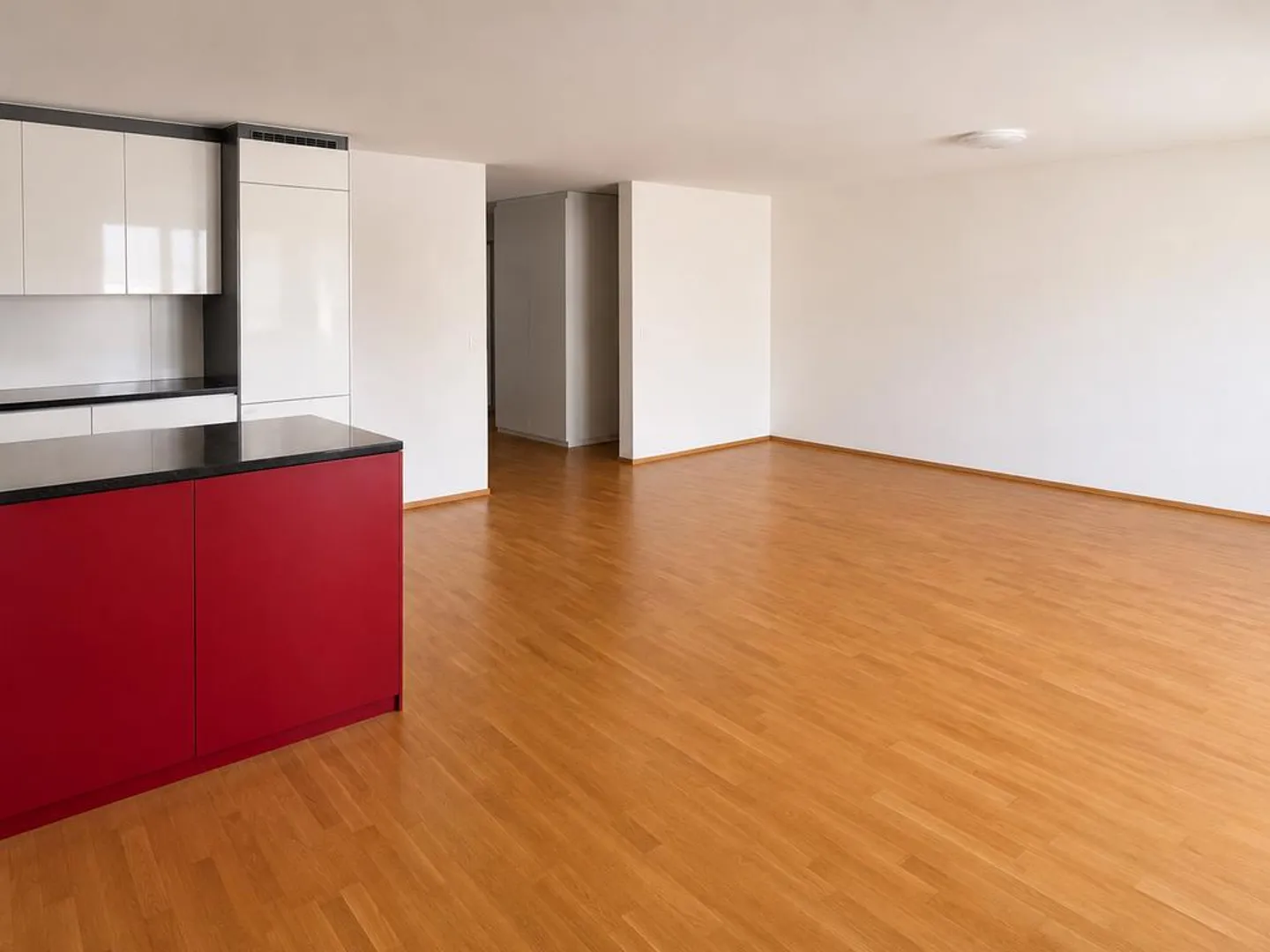 Modern apartment close to the lake and city! - Photo 2 of 6