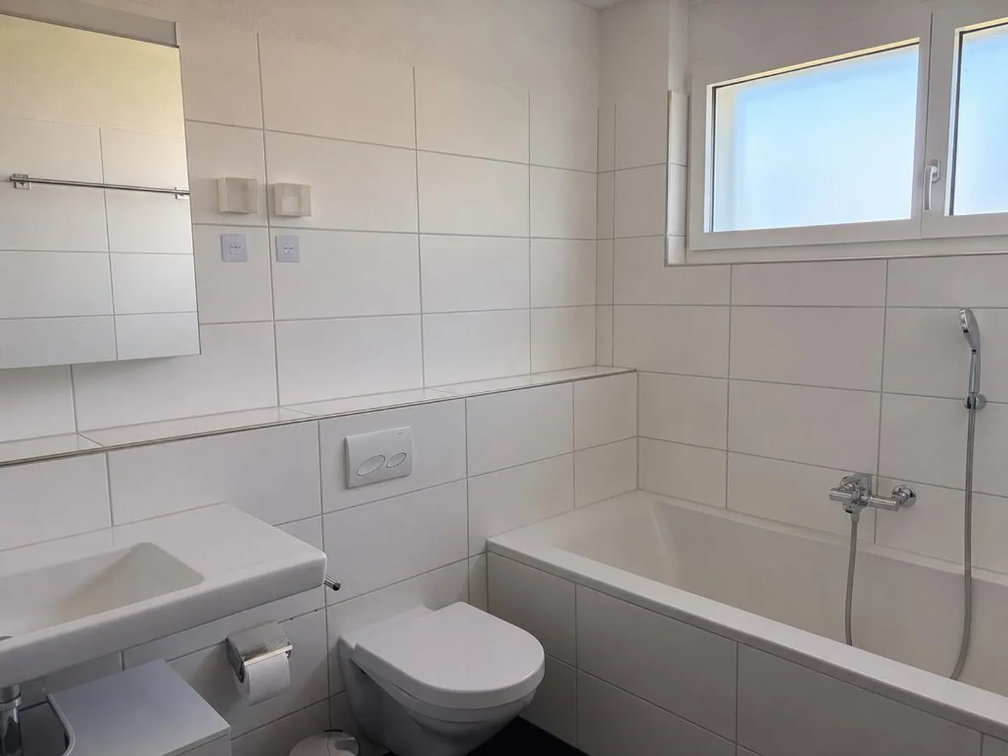 Modern apartment close to the lake and city! - Photo 4 of 6