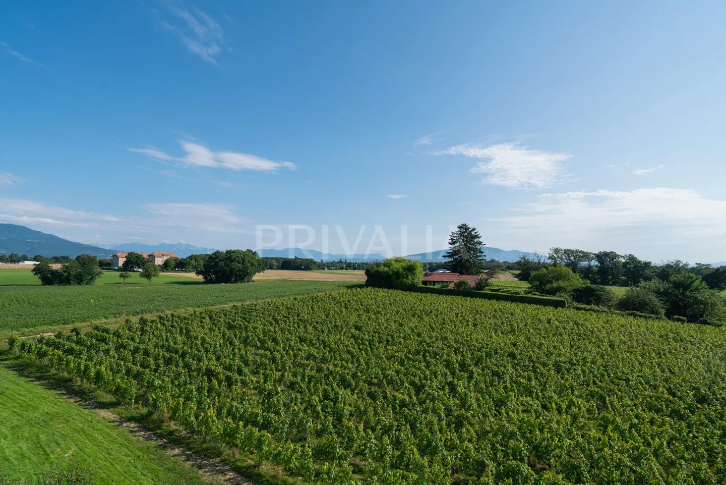 Wohnung mit 5 Zimmern in einer contemporary Hochhausanlage mit hohem Standard - Foto 7 von 8