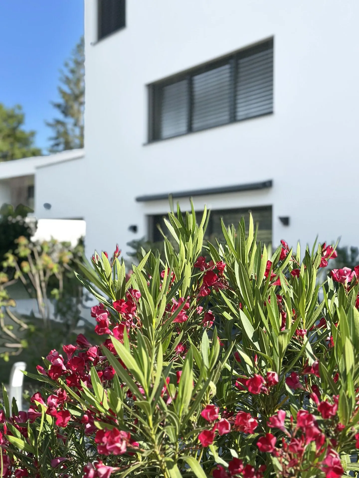 Appartement Moderne à Chêne-Bougeries - Photo 29 sur 29