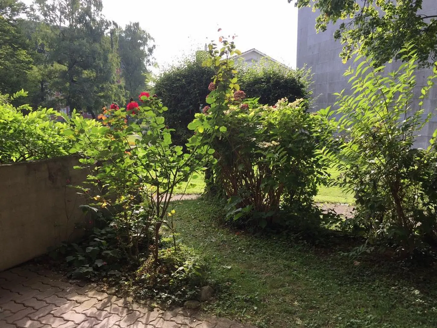 Charmante Wohnung in idyllischer Lage - Foto 1 von 4