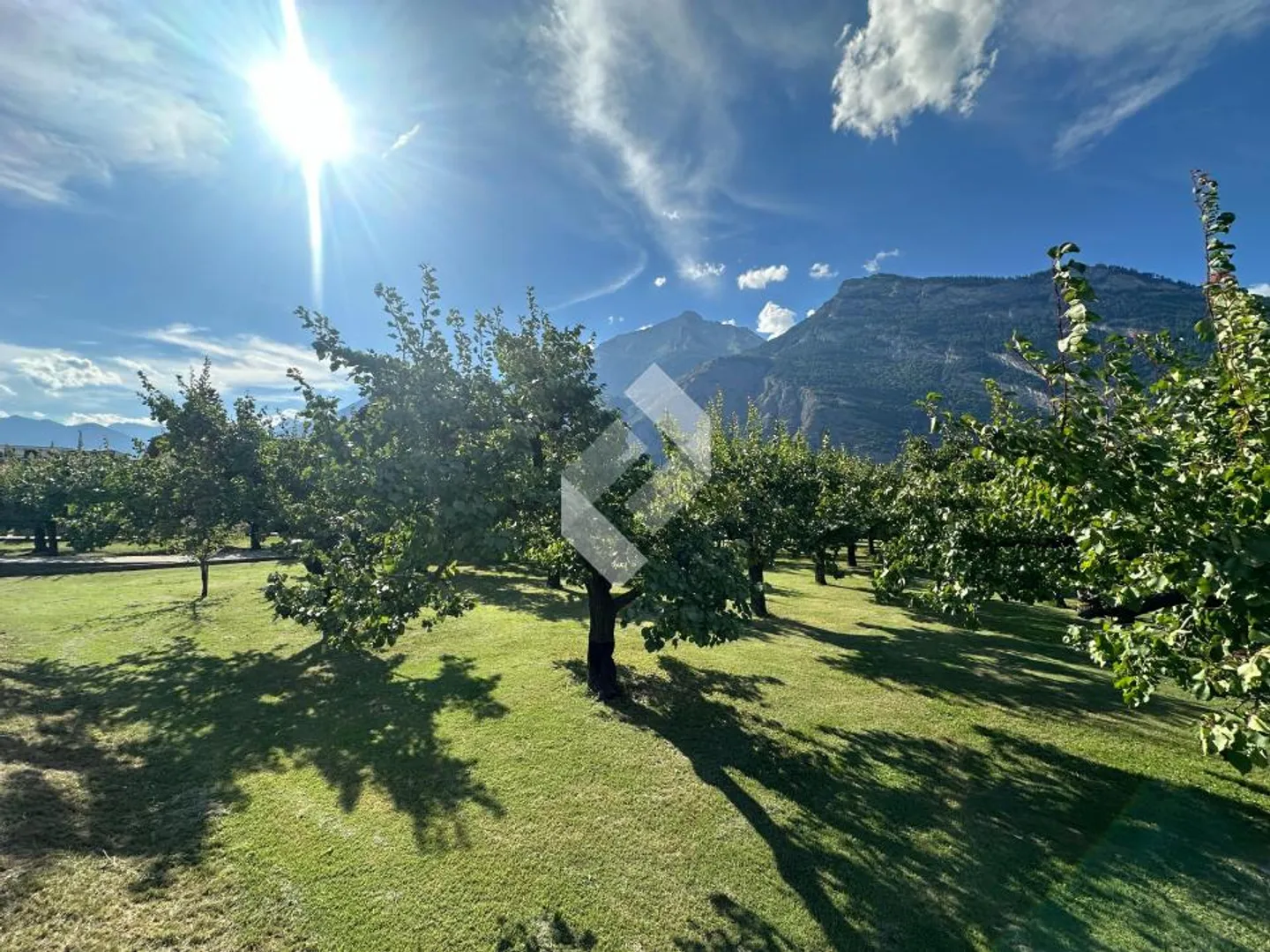 The Luizet Property - Photo 9 of 13