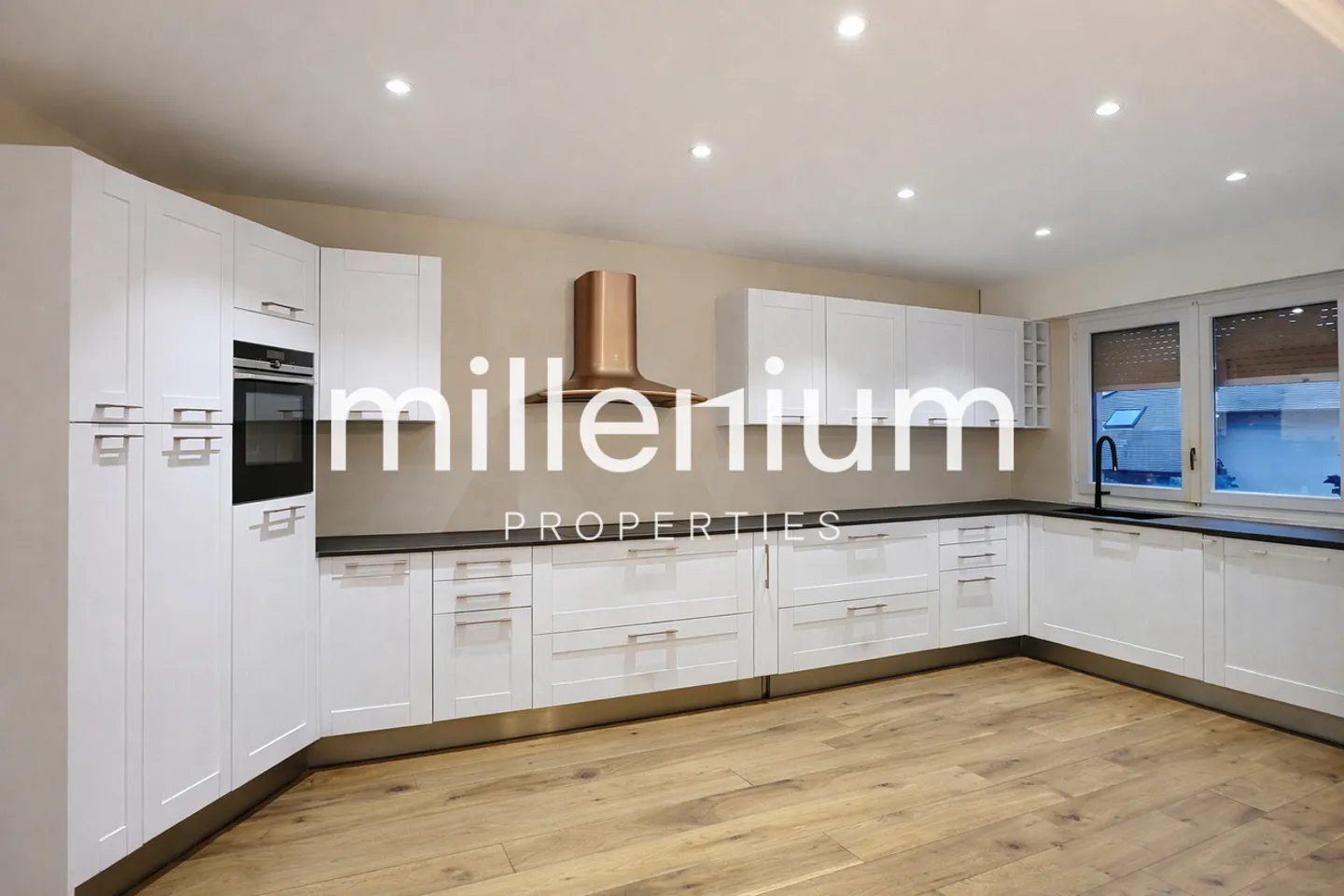 Renovated Apartment near Lake Geneva - Photo 4 of 16