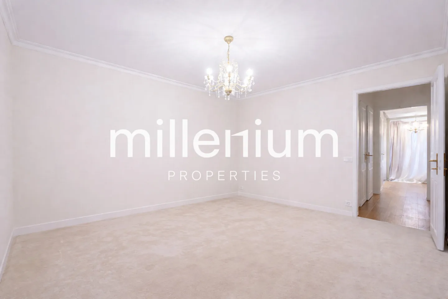 Renovated Apartment near Lake Geneva - Photo 8 of 16