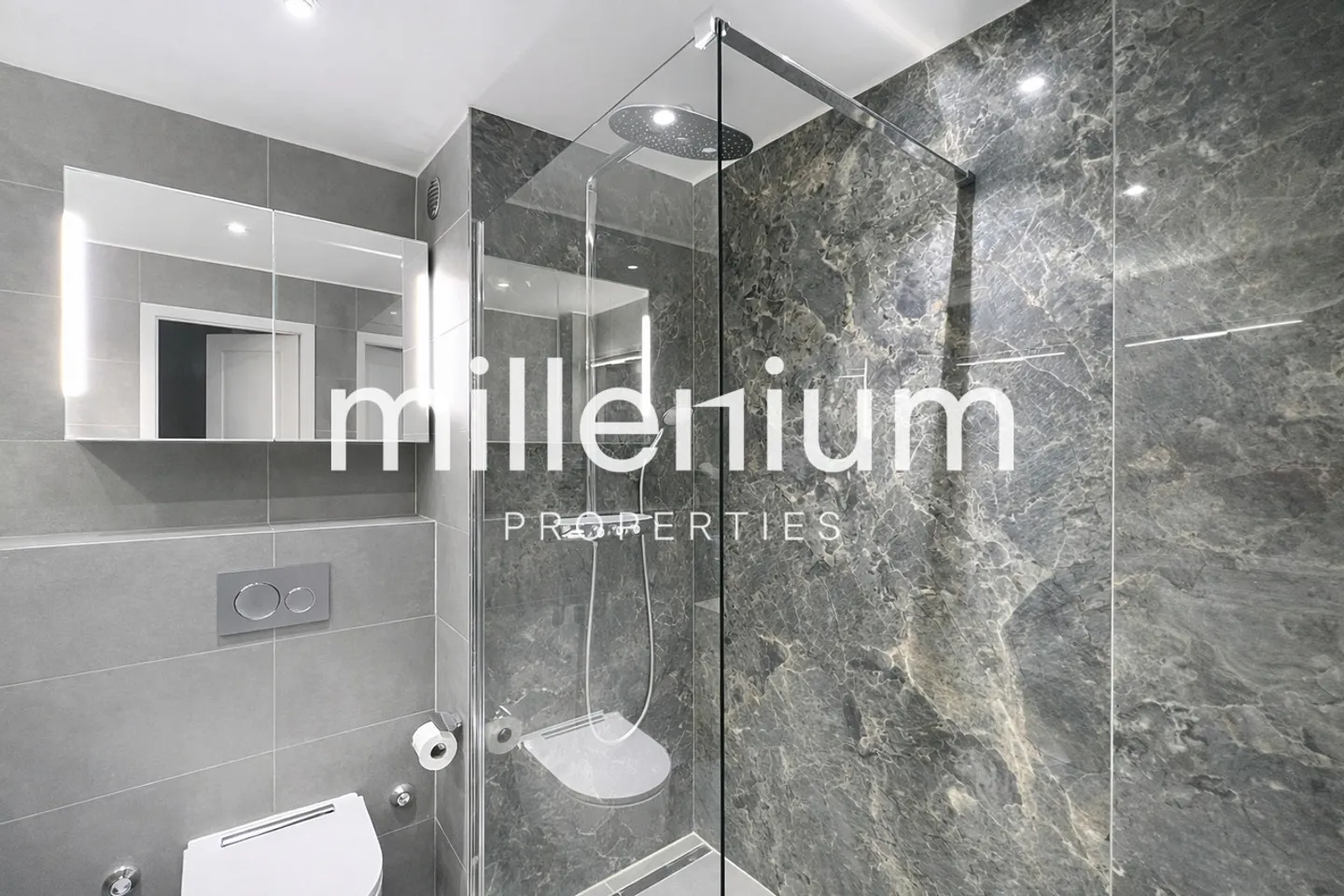 Renovated Apartment near Lake Geneva - Photo 11 of 16