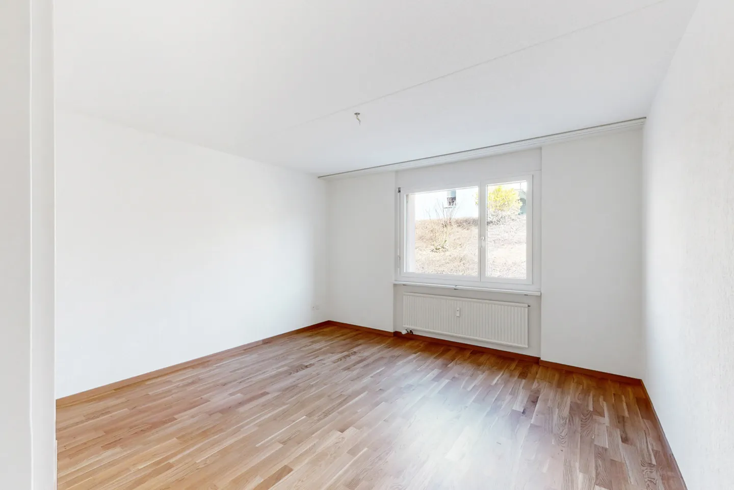 Spacious and Sunny Apartment - Photo 5 of 12
