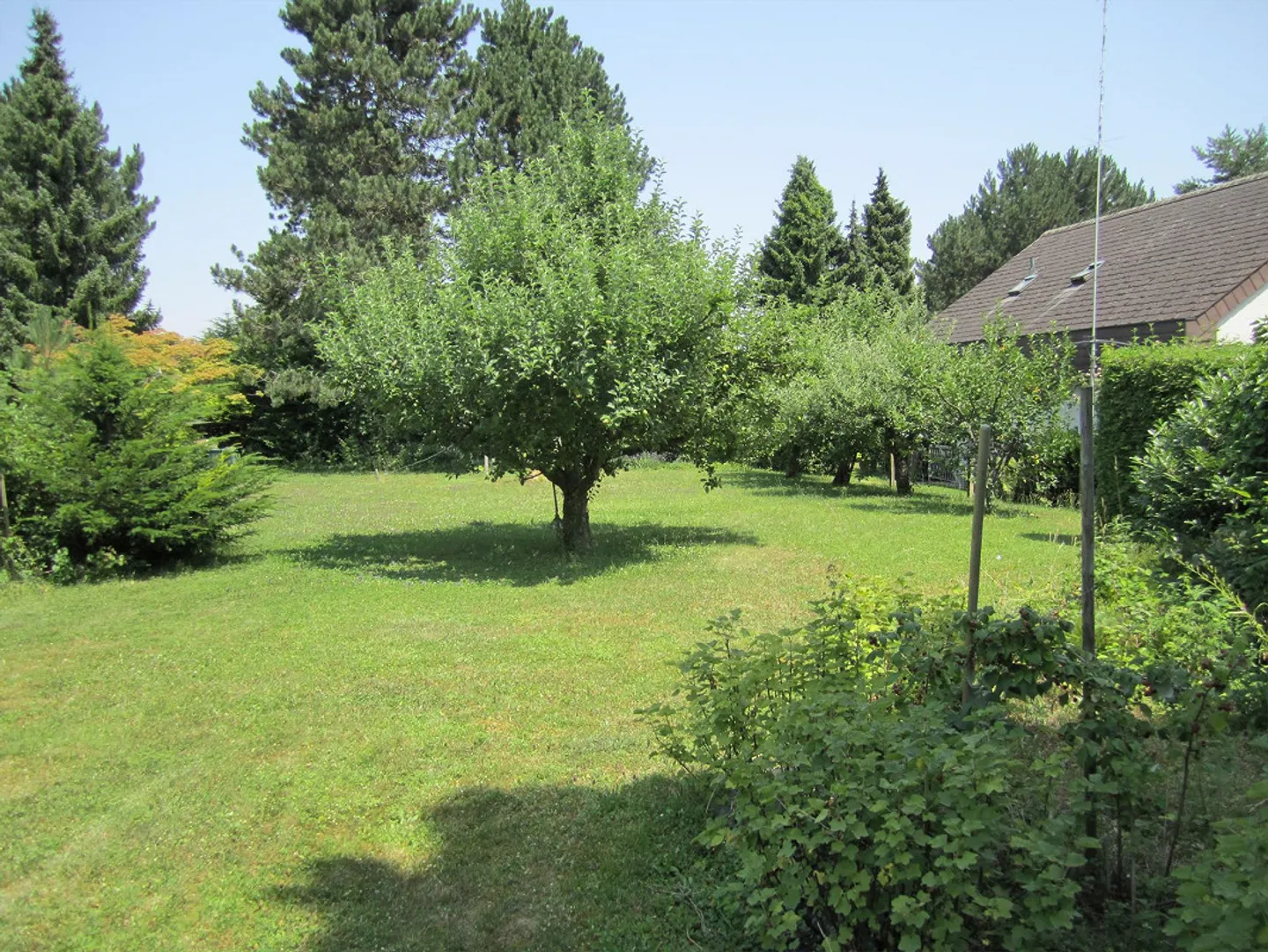 Rare opportunity at Rosenberg 788 m² building land in top location - Photo 3 of 4