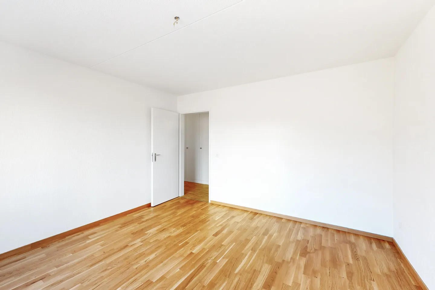 Spacious and Sunny Apartment - Photo 6 of 12