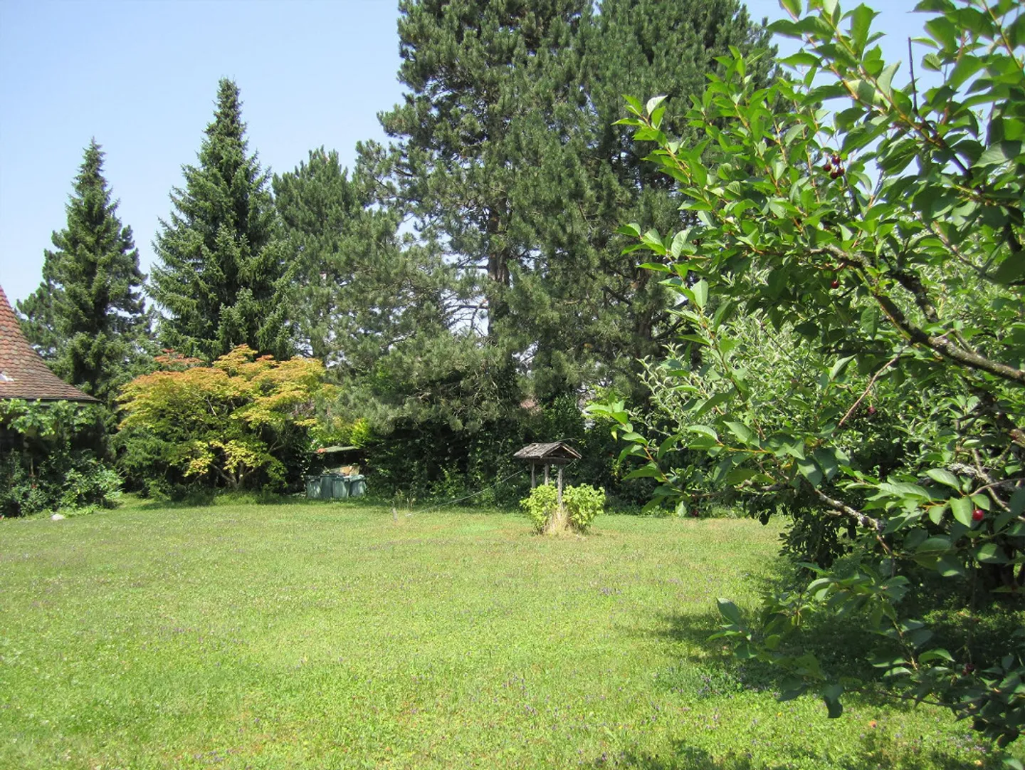 Rare opportunity at Rosenberg 788 m² building land in top location - Photo 4 of 4