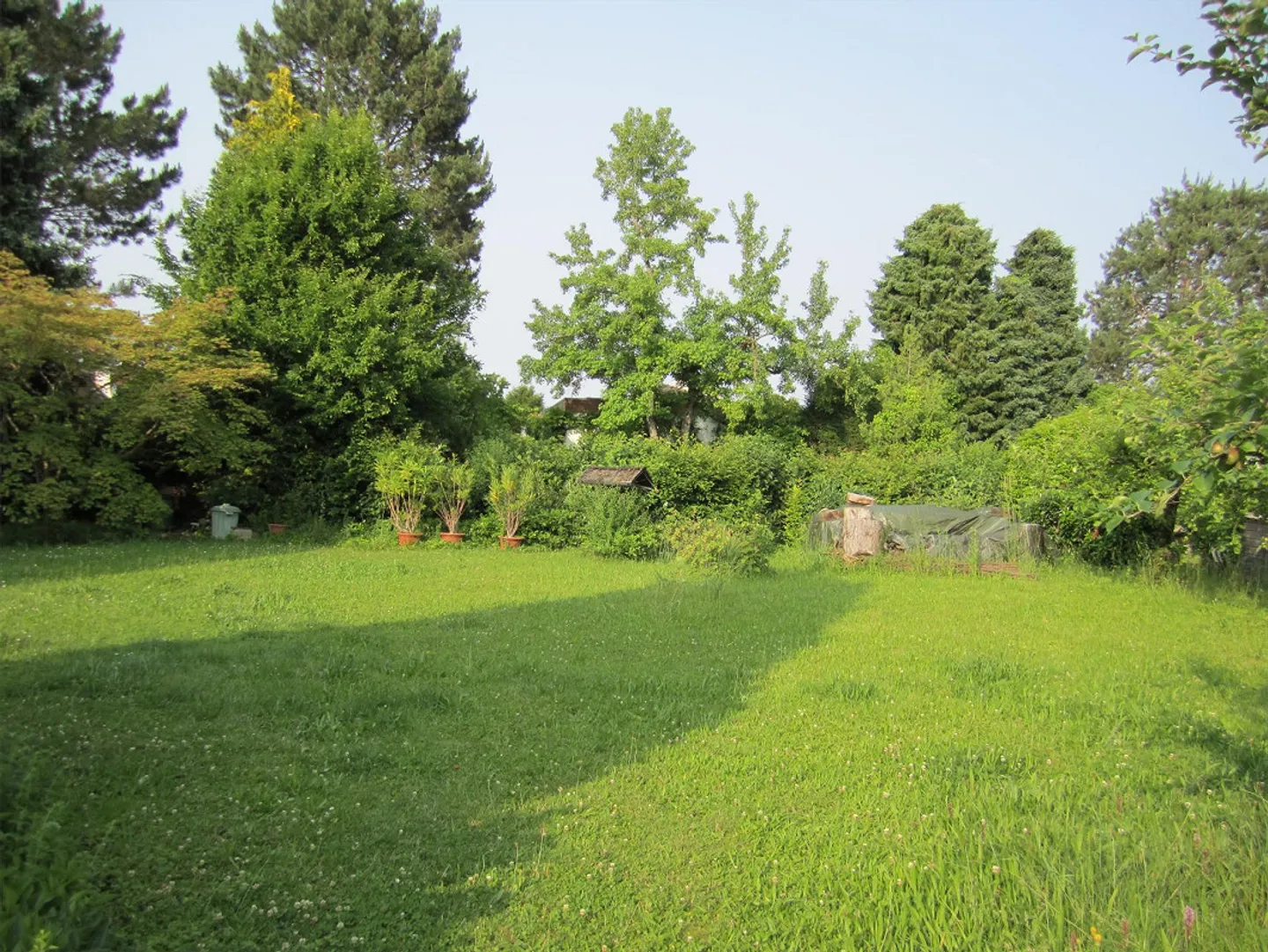 Rare opportunity at Rosenberg 788 m² building land in top location - Photo 2 of 4