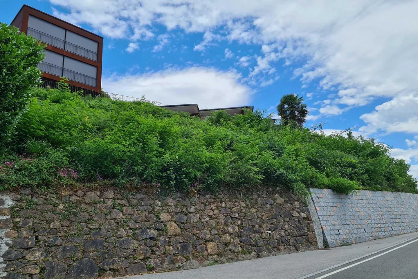 GRUNDSTÜCK MIT SEEBLICK UND PROJEKT FÜR EINE VILLA IN NEGGIO - Foto 5 von 8
