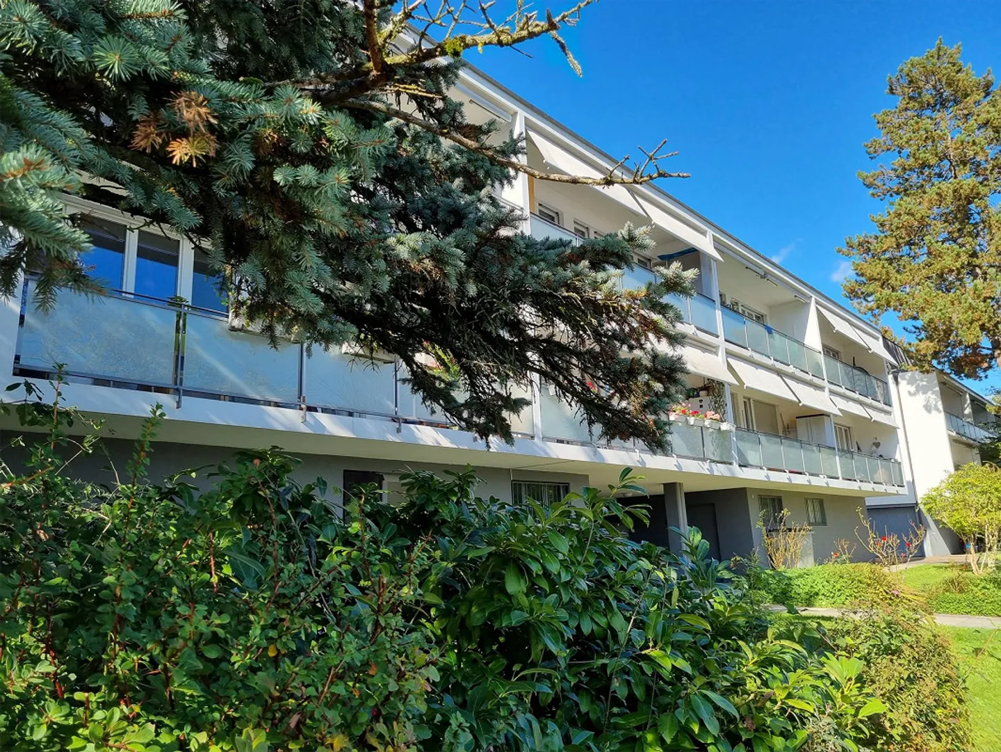 Helle 3-Zimmerwohnung zu vermieten - Foto 2 von 2