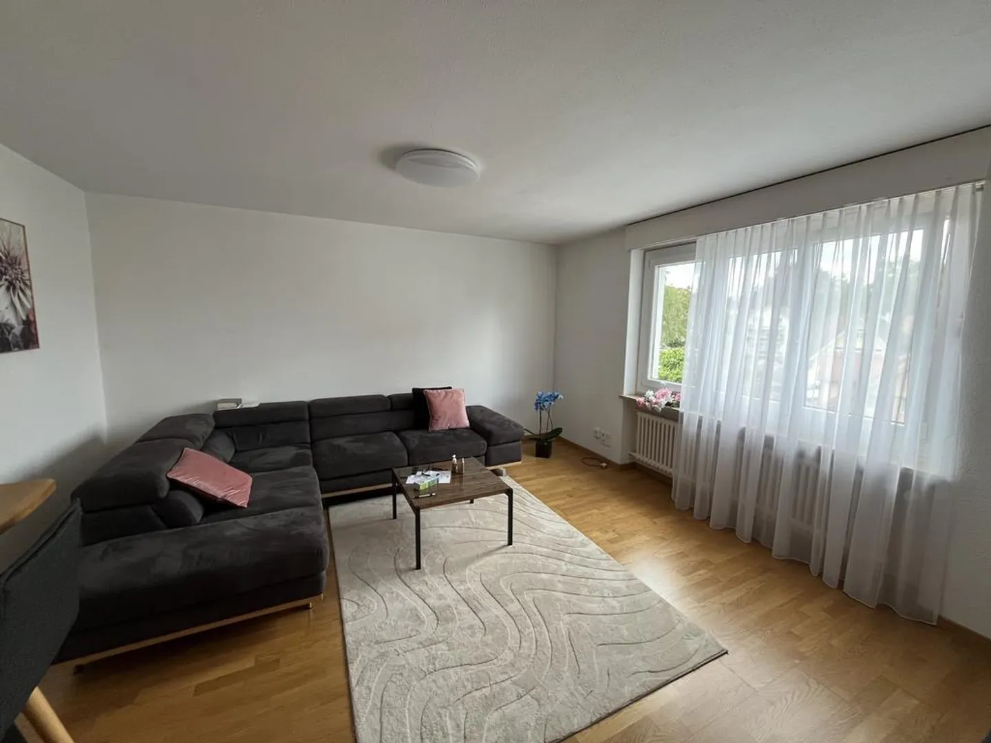 Compatto e vicino alla città - perfetto appartamento di 2,5 stanze vicino al Silberturm - Foto 3 di 7
