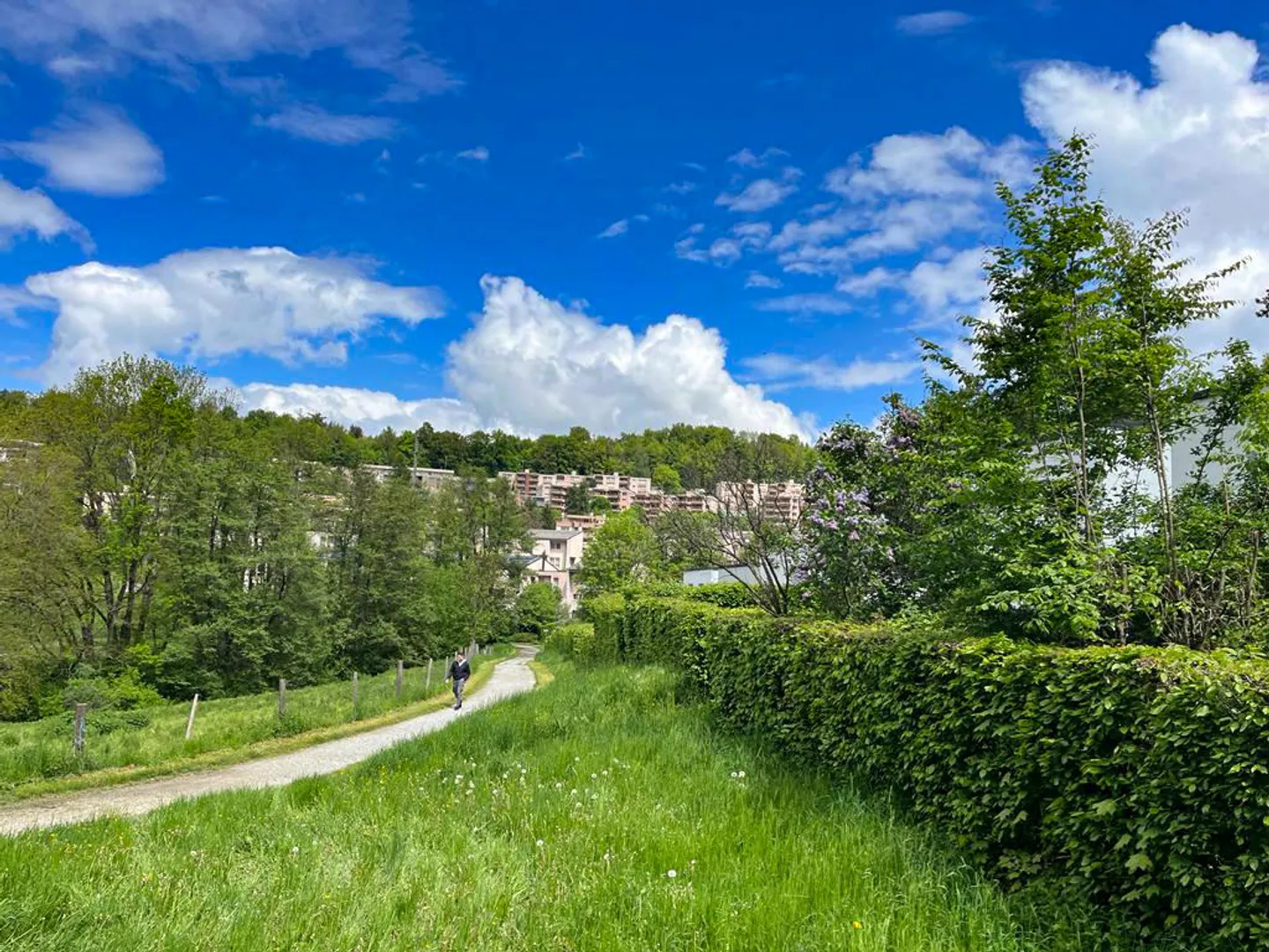 5,5-Zimmer-Haus - Foto 1 von 3