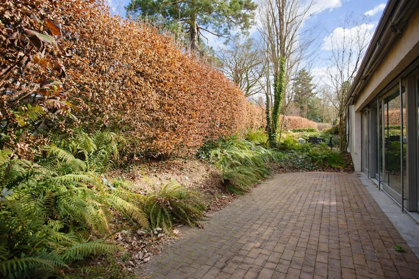 Geräumige Wohnung in ruhiger Lage - Foto 12 von 12