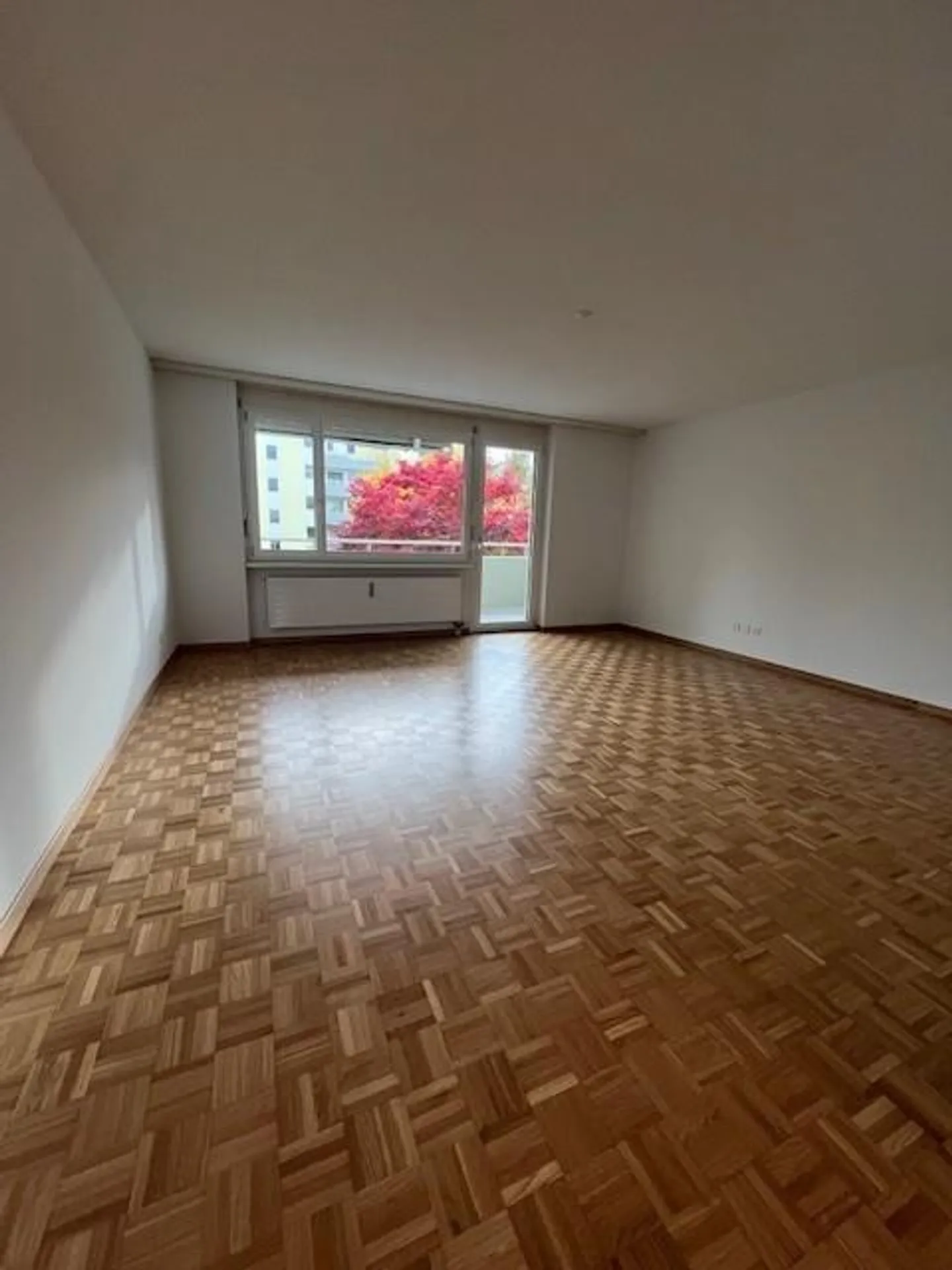 Attractive and Spacious Apartment in Ballwil - Photo 2 of 5