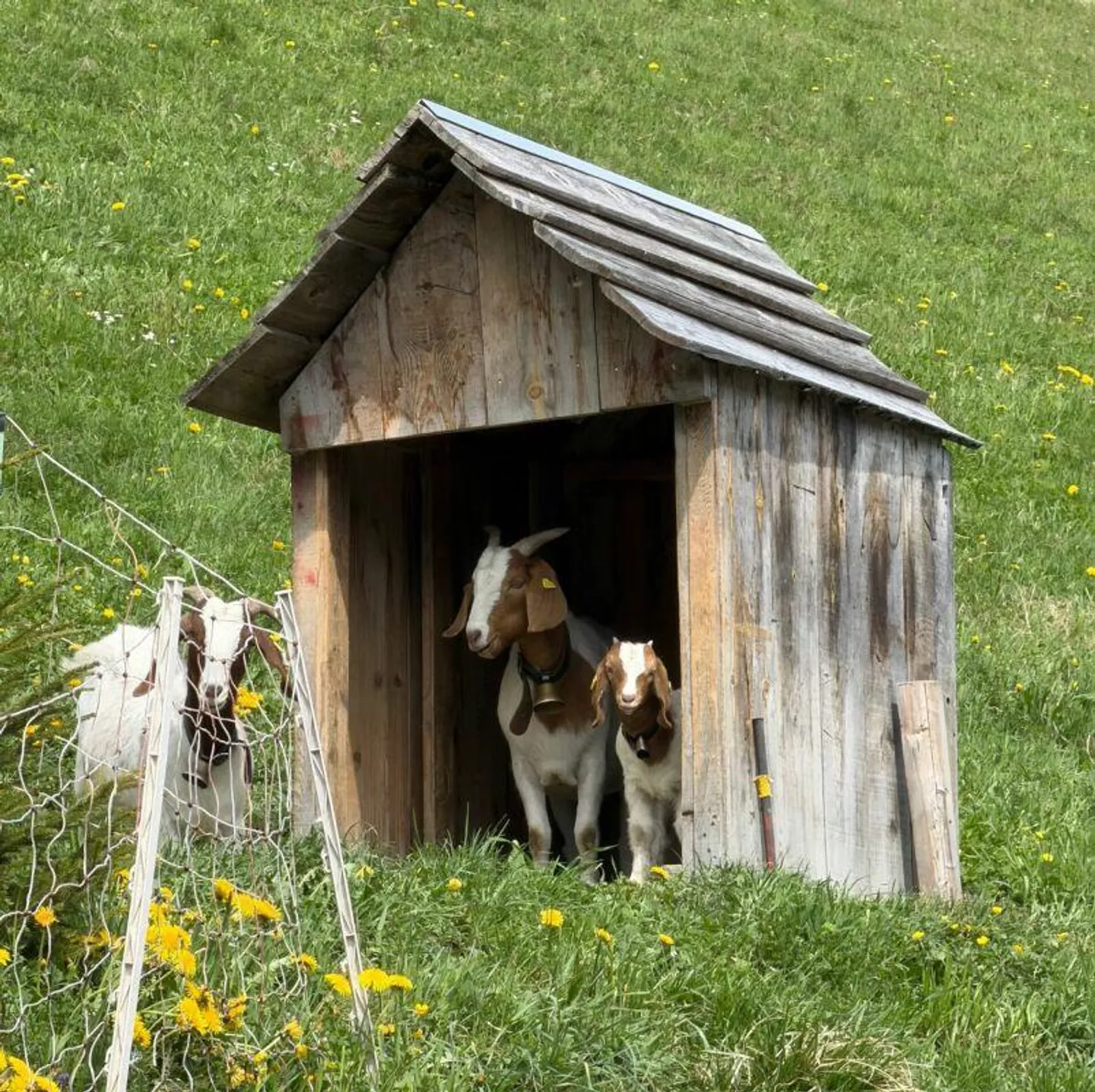 Casa unifamiliare con vista - Foto 2 di 11