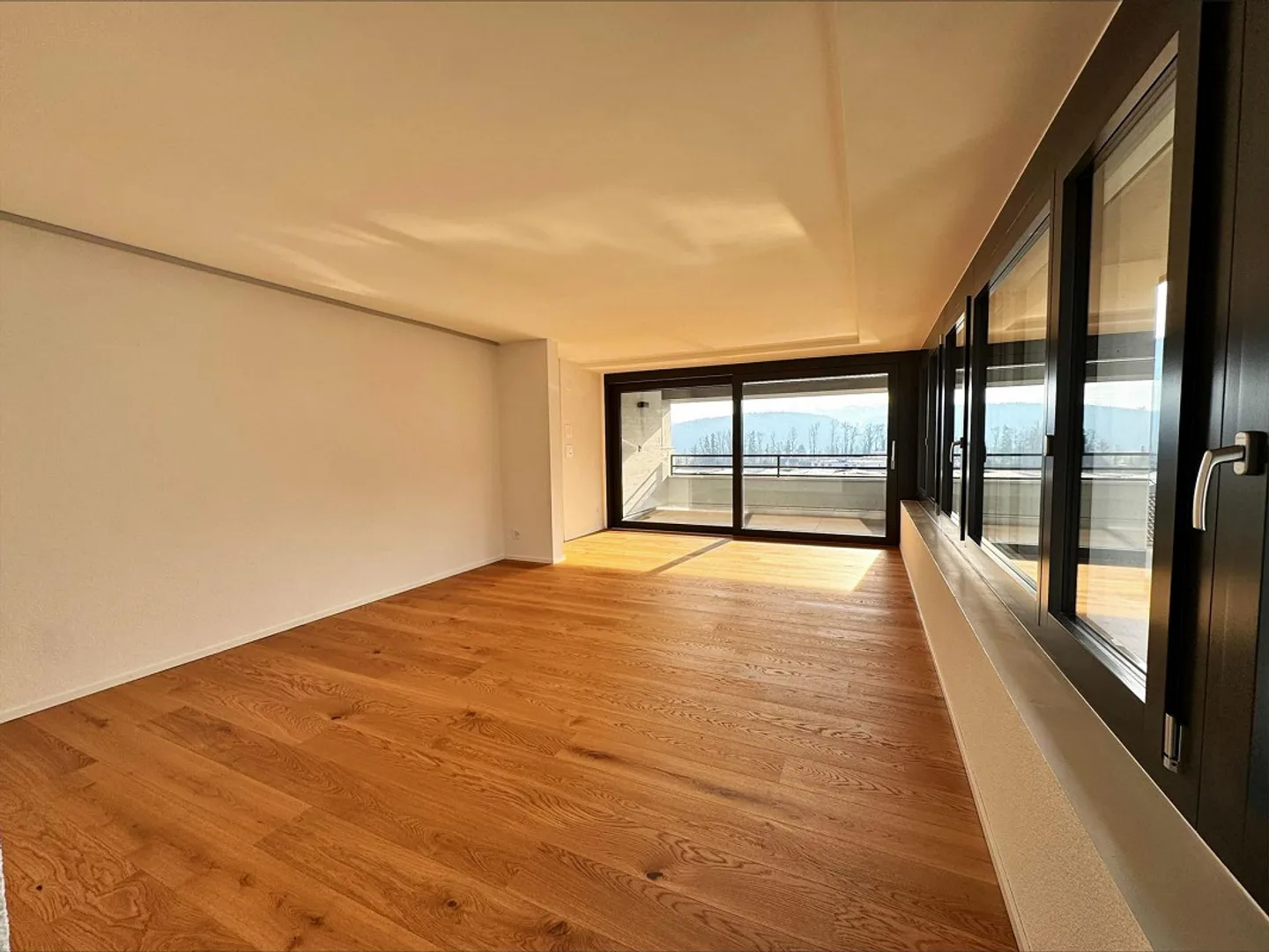 Prima occupazione dopo ristrutturazione completa - Appartamento 3.5 locali - Foto 4 di 7