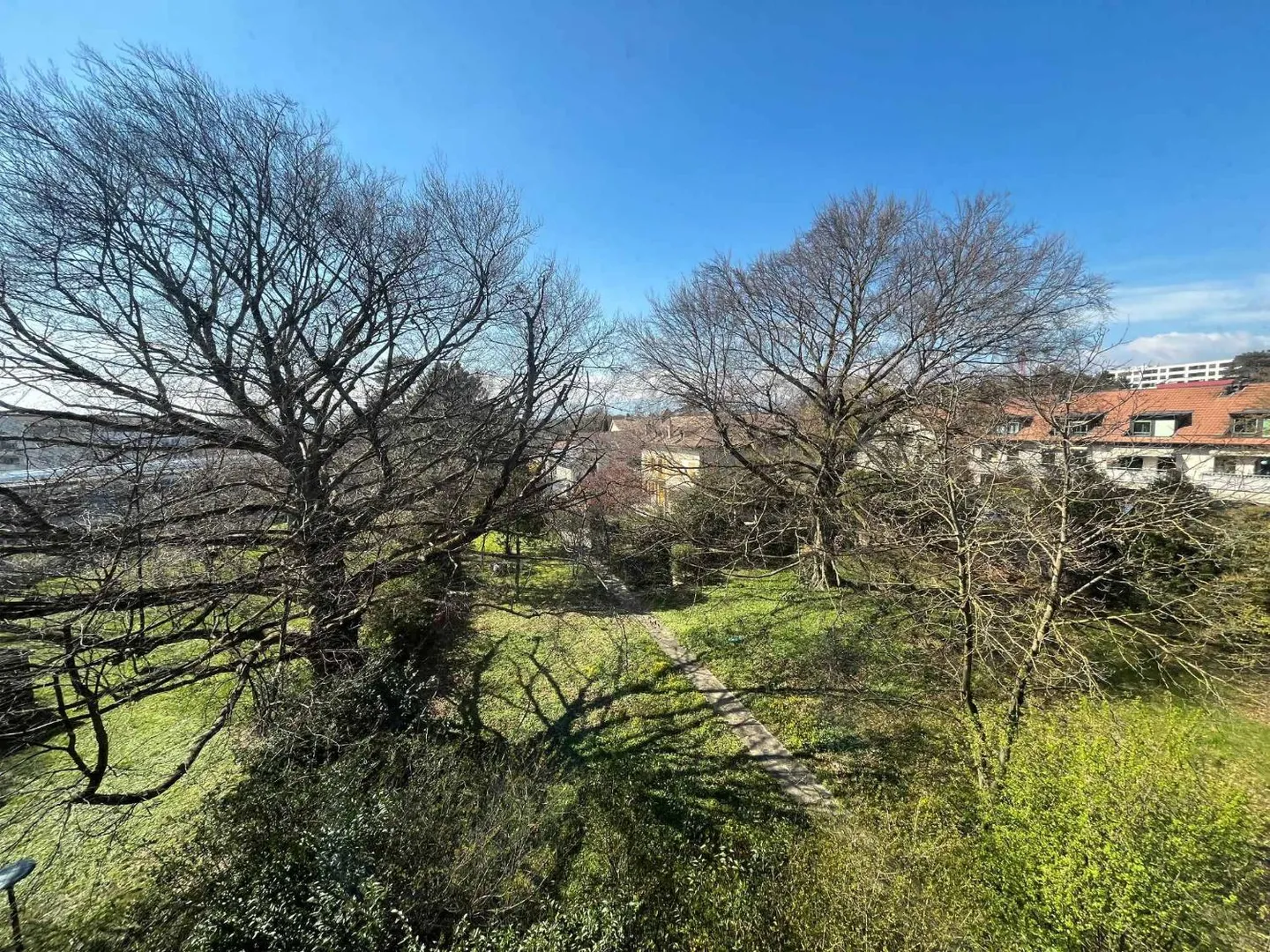 Thônex Büros von 147m2 - Foto 8 von 8