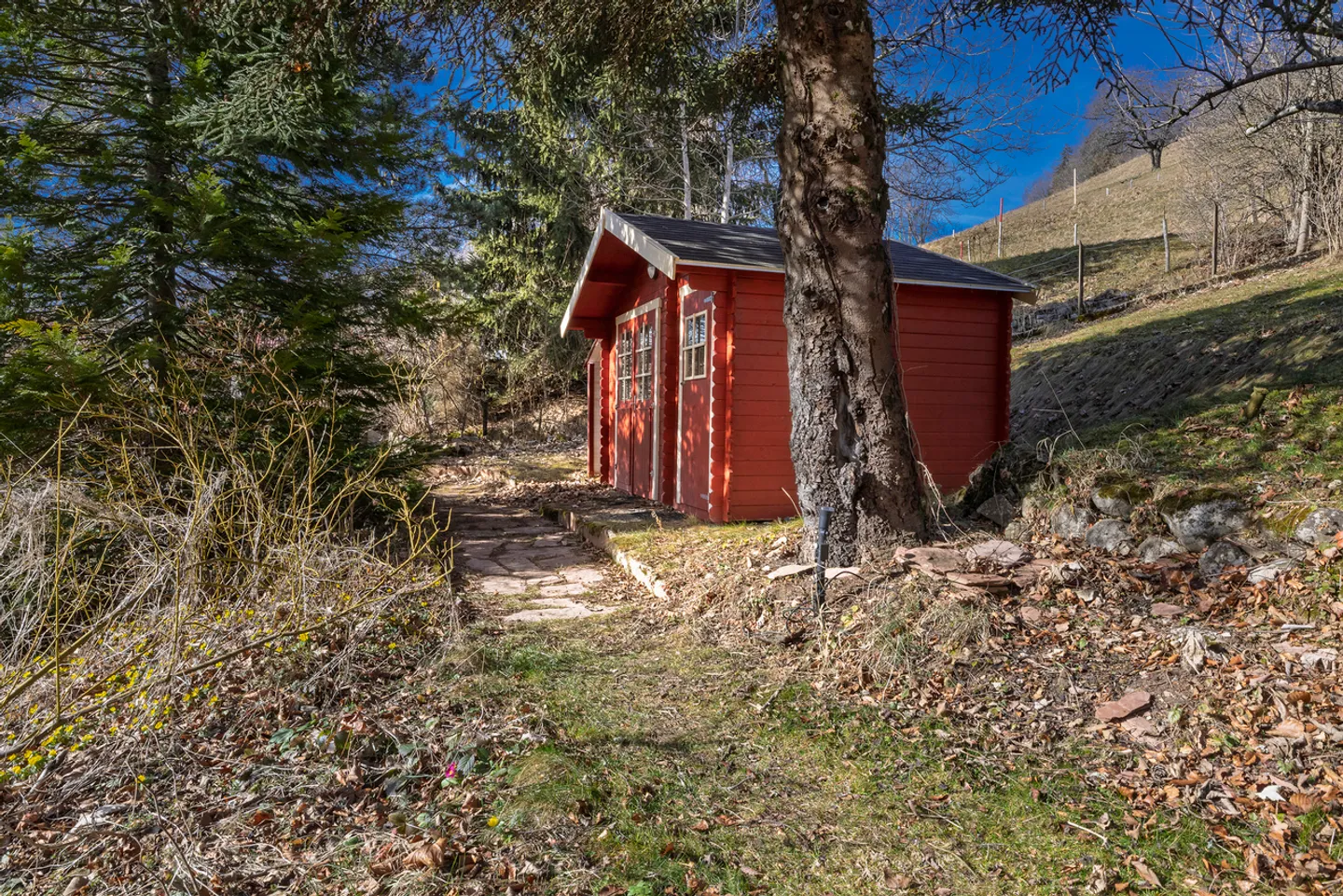 Il tuo porto tranquillo in un affascinante borgo vicino a Leysin! - Foto 20 di 25