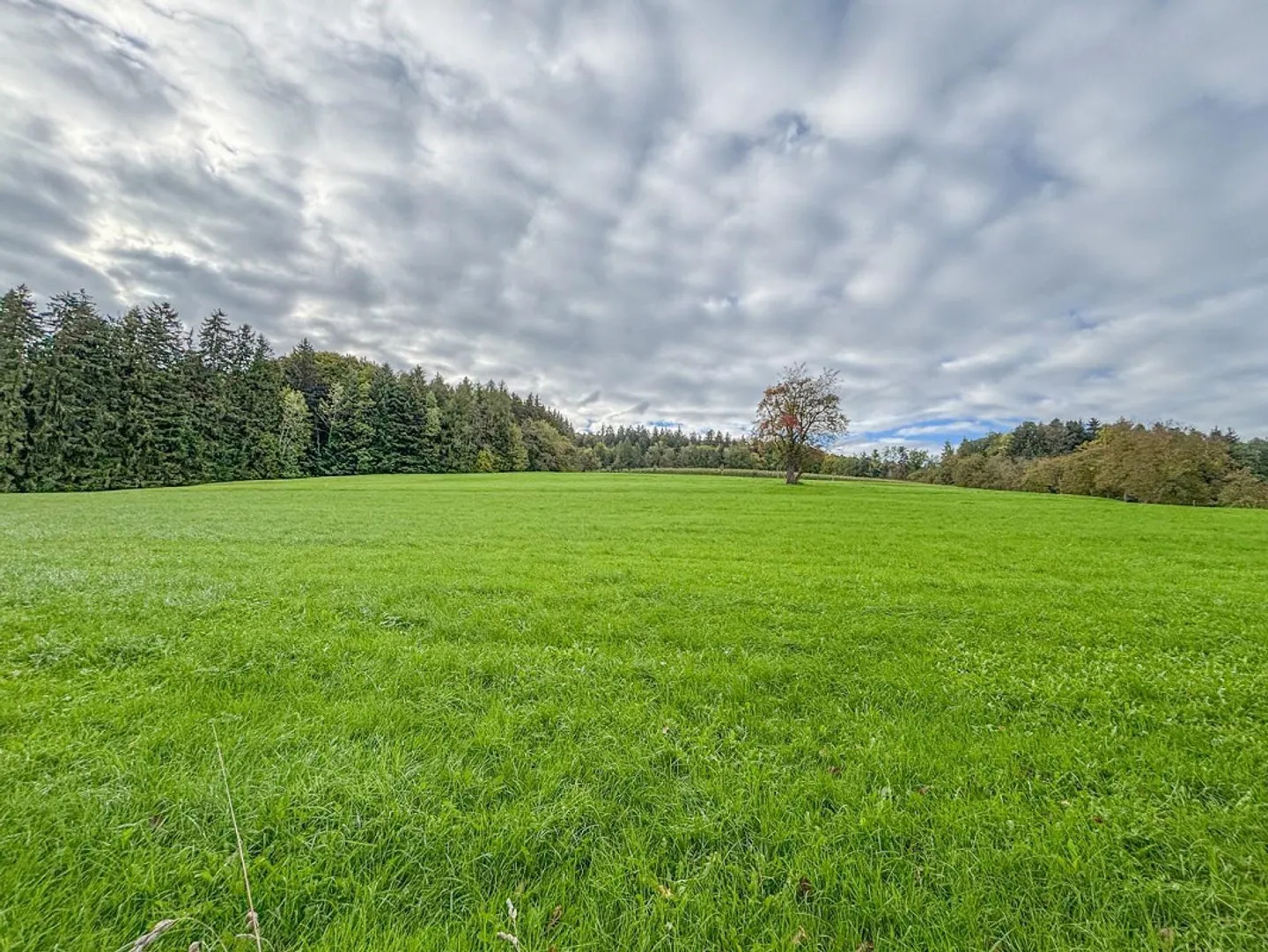 well-sunny single-family house in a quiet location - Photo 4 of 10