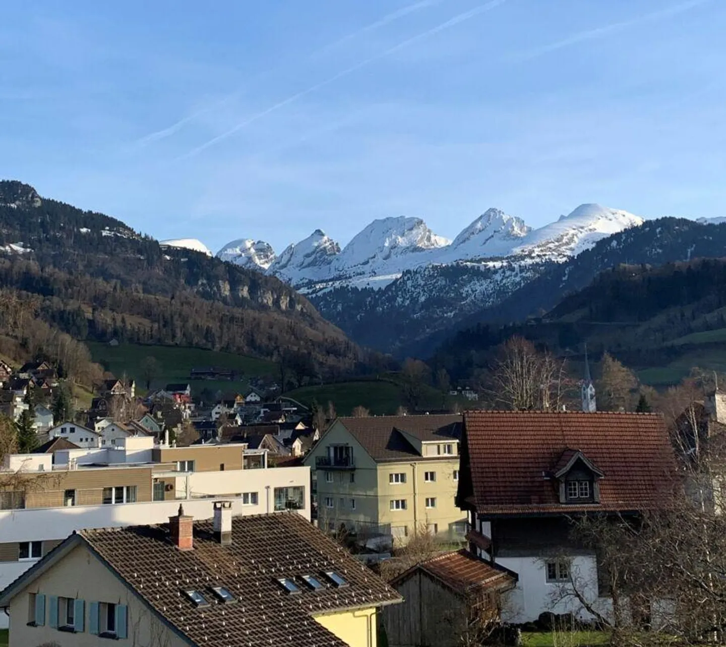 Appartement rénové de 3,5 pièces avec vue sur la montagne - Photo 9 sur 10