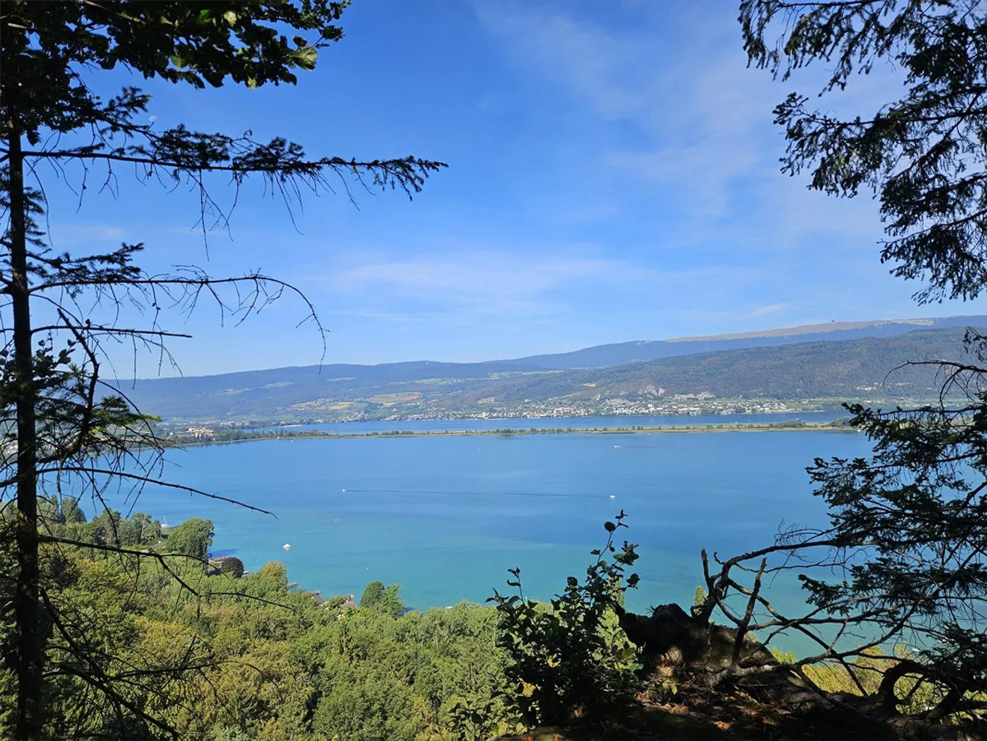 Spacious, bright 4.5-room apartment with sunny balcony near the lake - Photo 12 of 13