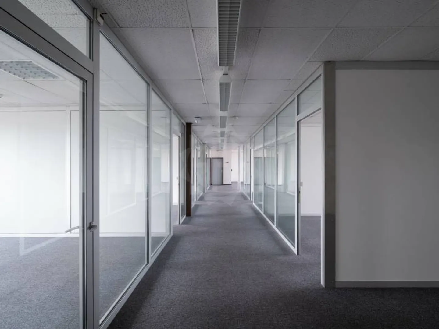 Beaux bureaux - Meyrin - Photo 2 sur 5